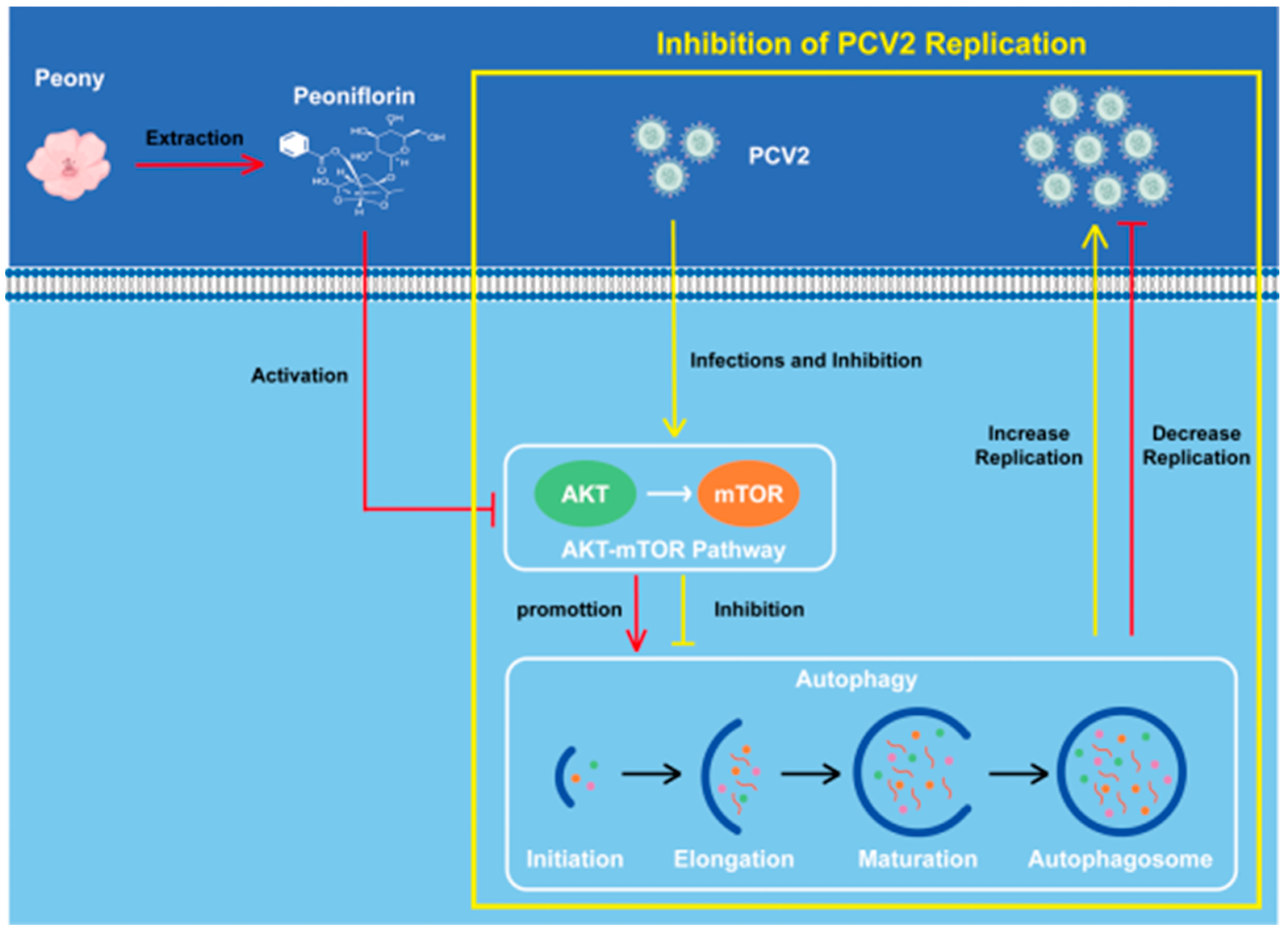 Vetsci 12 00117 g010