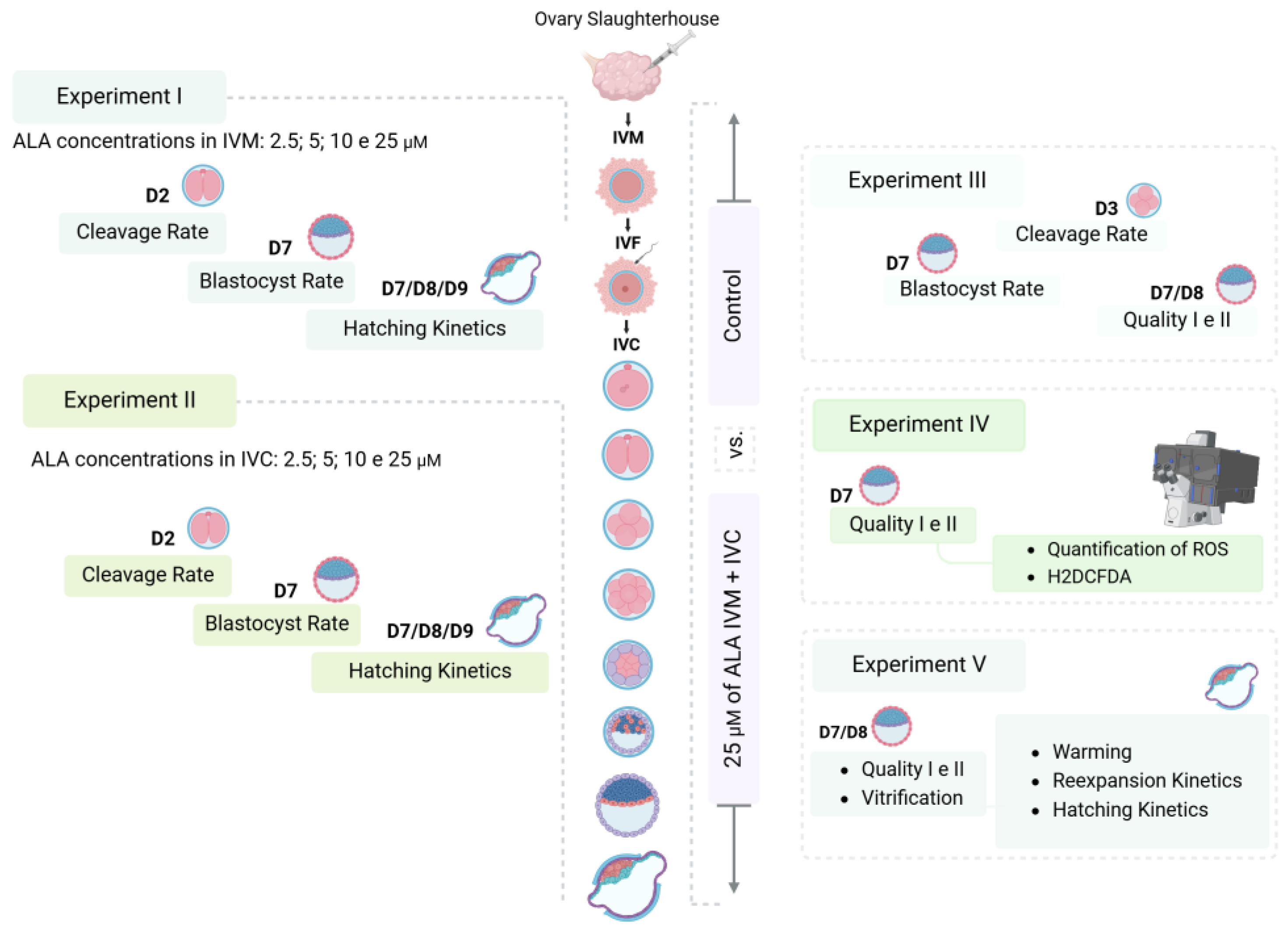 Vetsci 12 00120 g001