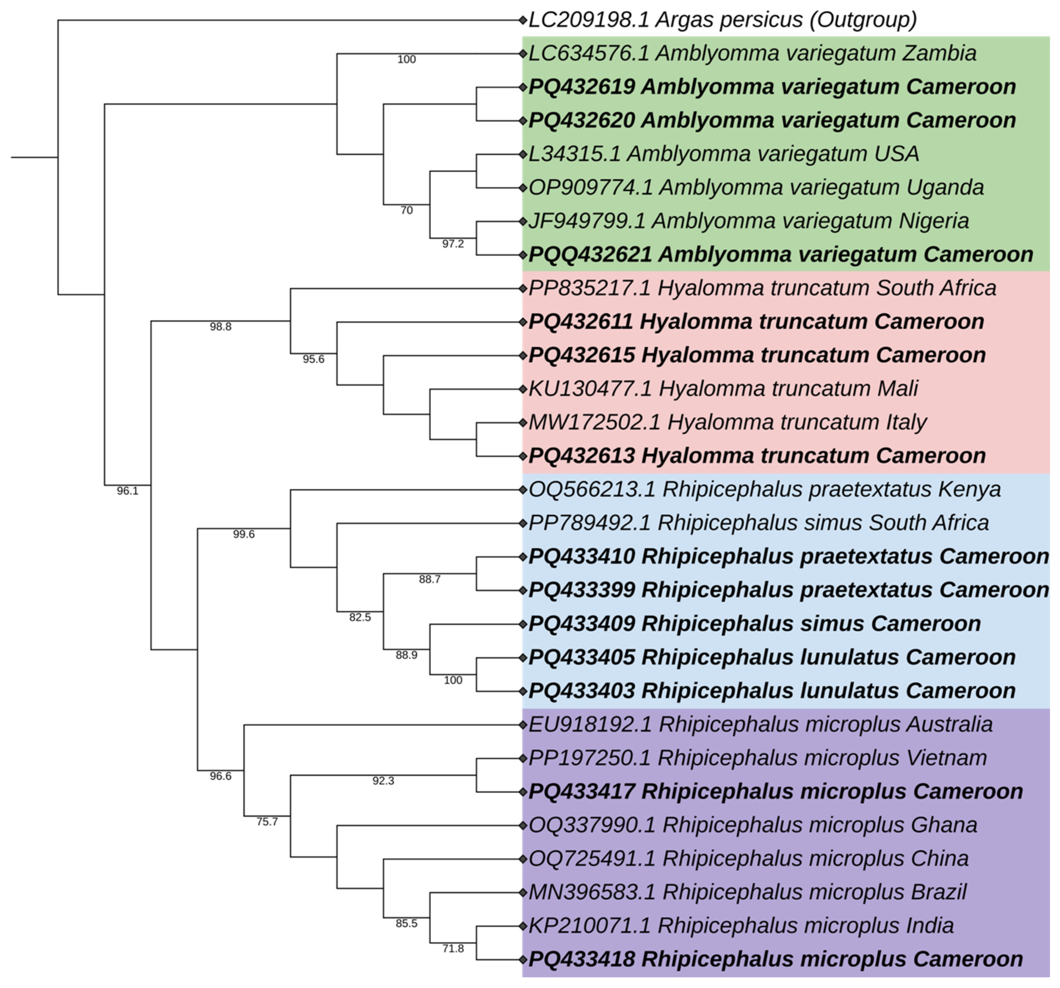 Vetsci 12 00123 g003 Vetsci 12 00123 g003