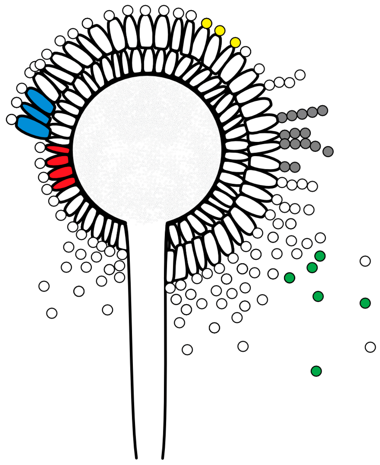 Vetsci 12 00124 g001