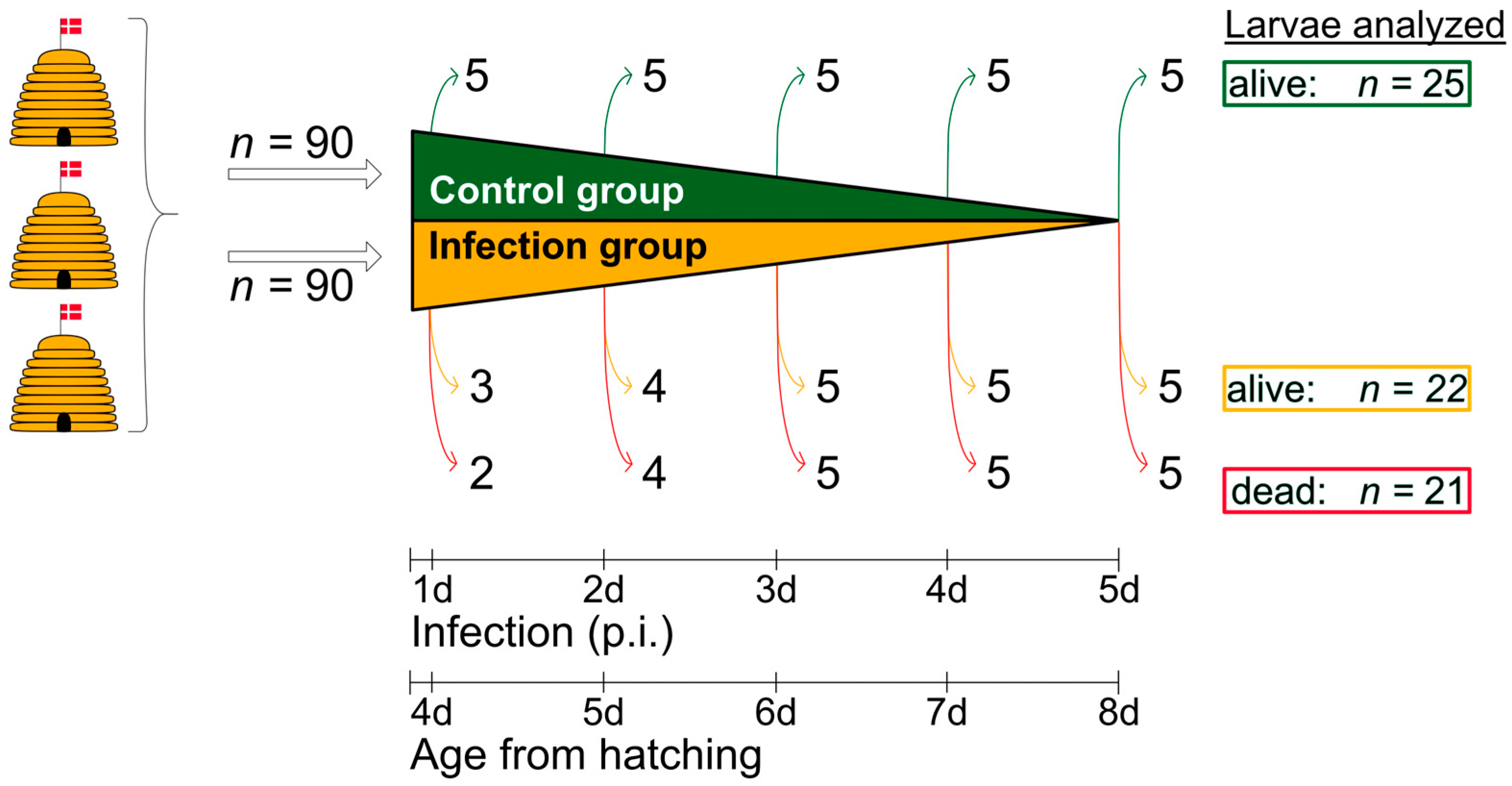 Vetsci 12 00124 g002