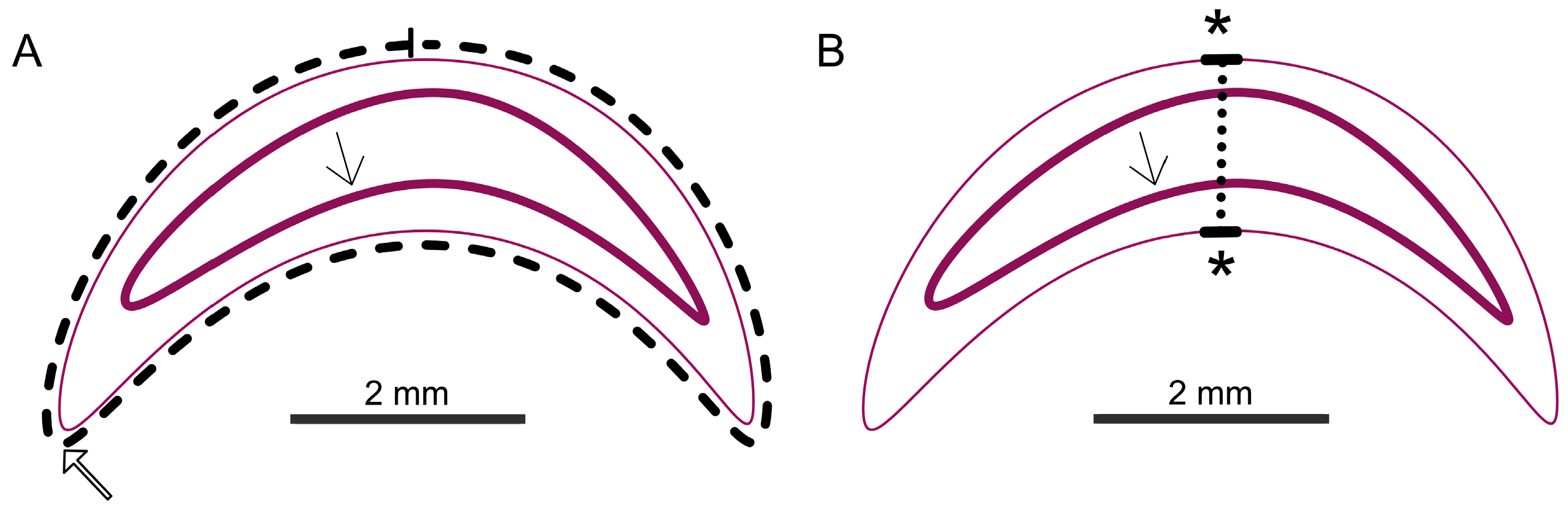 Vetsci 12 00124 g003