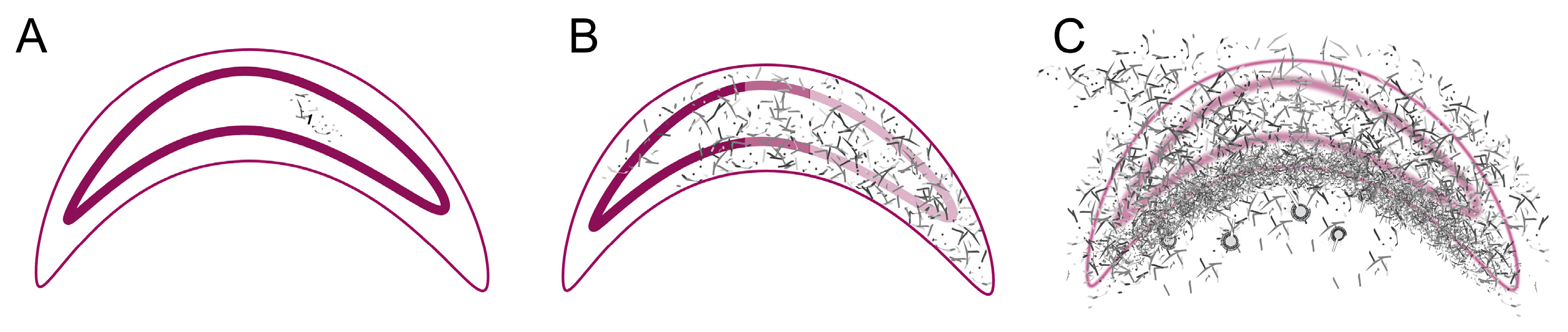 Vetsci 12 00124 g007