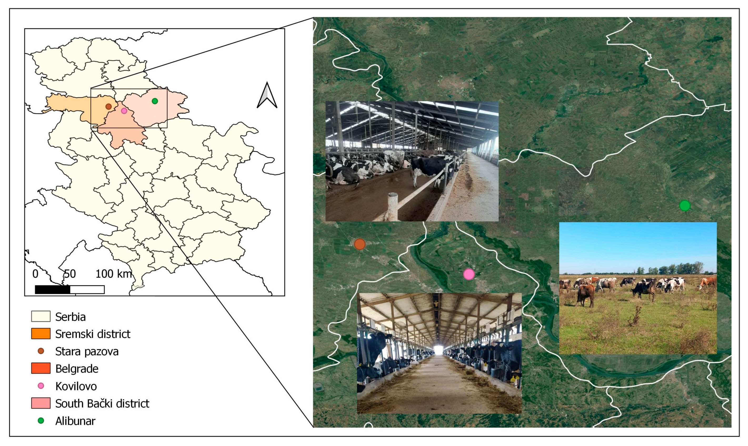 Vetsci 12 00125 g001 Vetsci 12 00125 g001