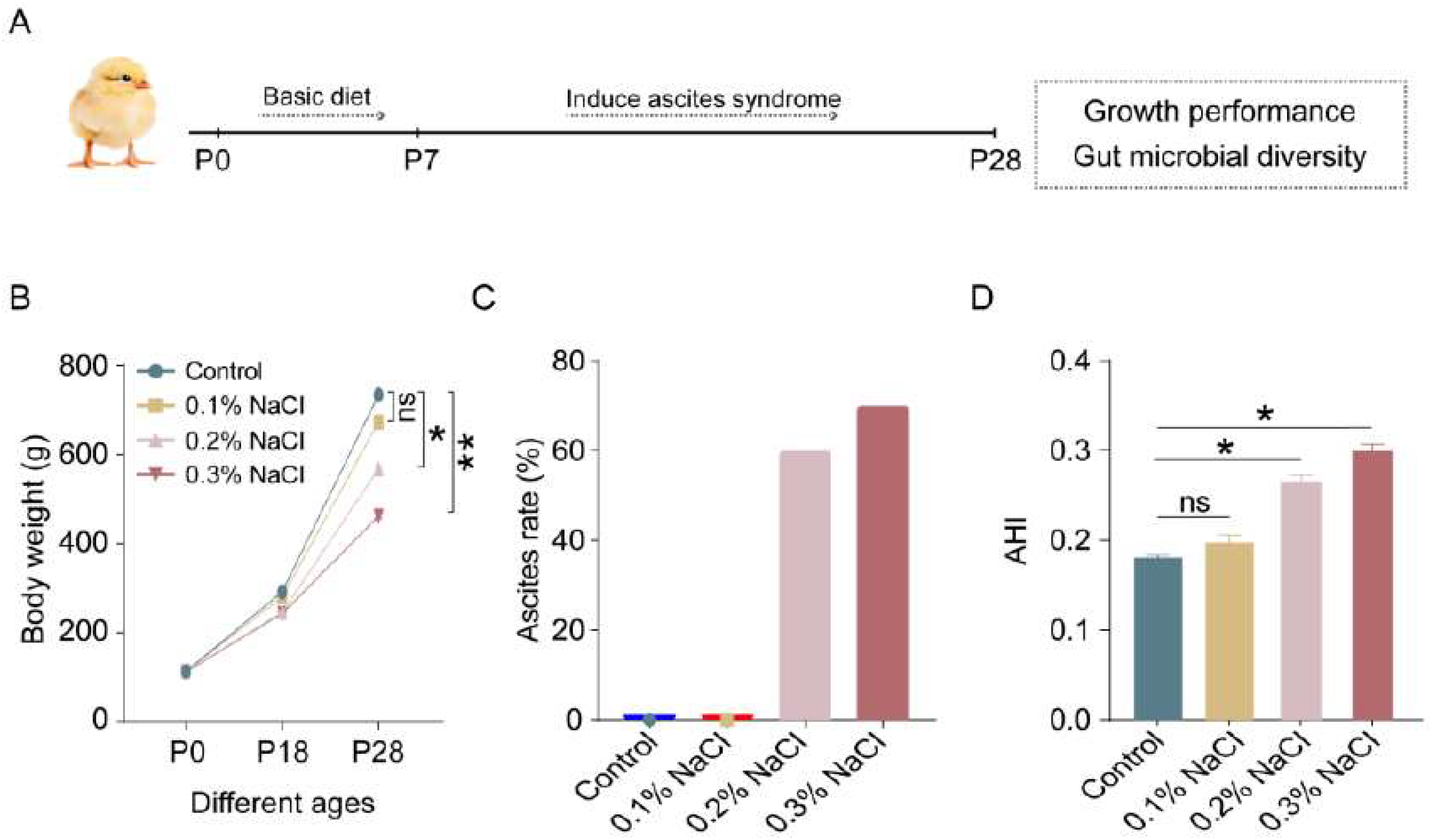 Vetsci 12 00126 g001