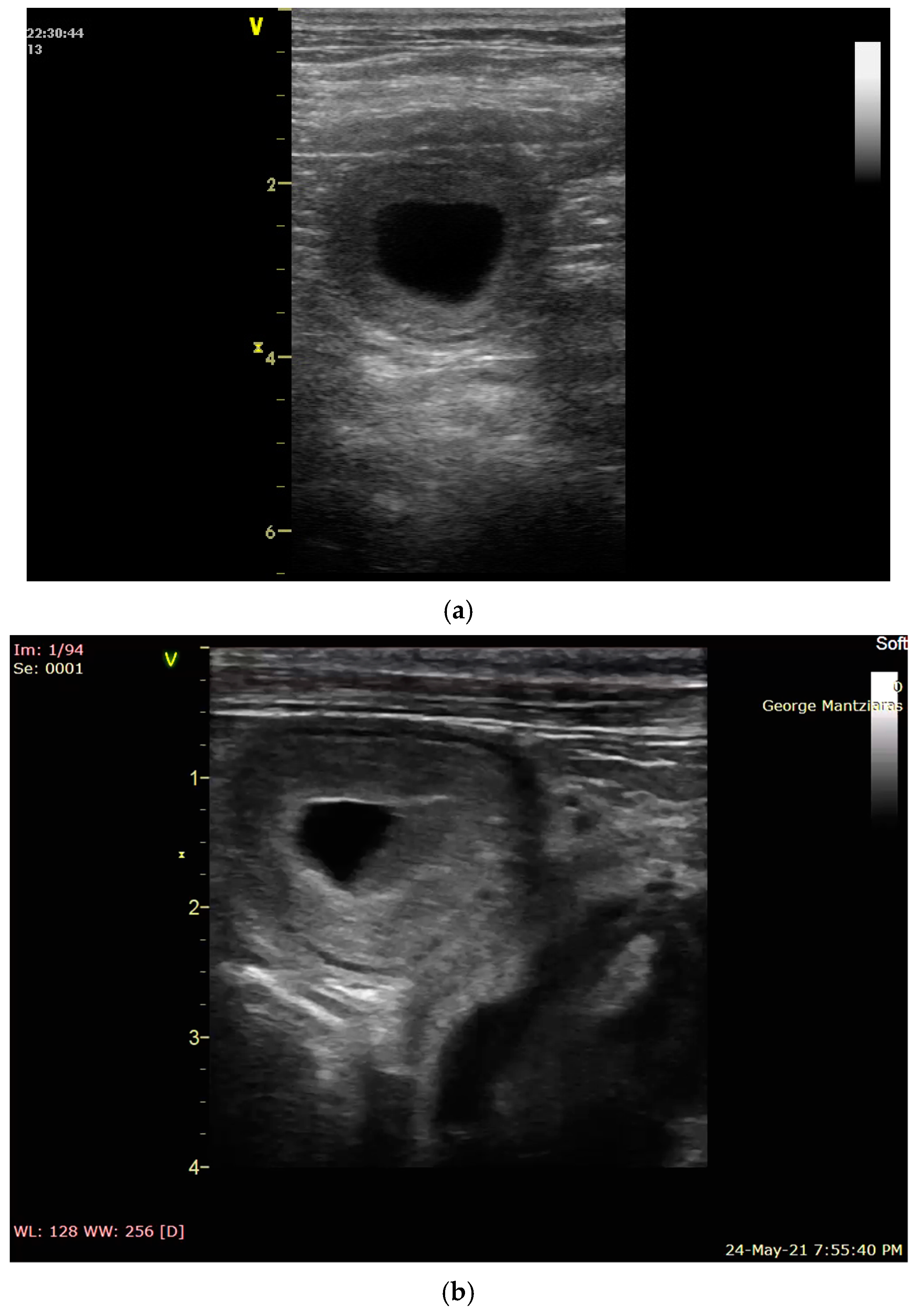 Vetsci 12 00127 g001 Vetsci 12 00127 g001