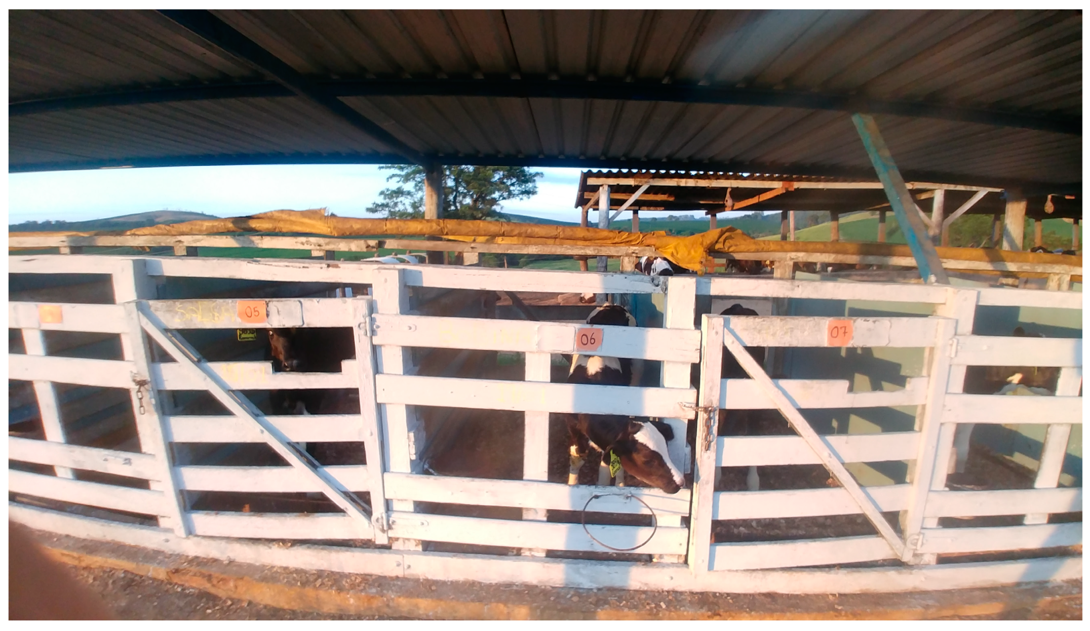 Vetsci 12 00128 g001