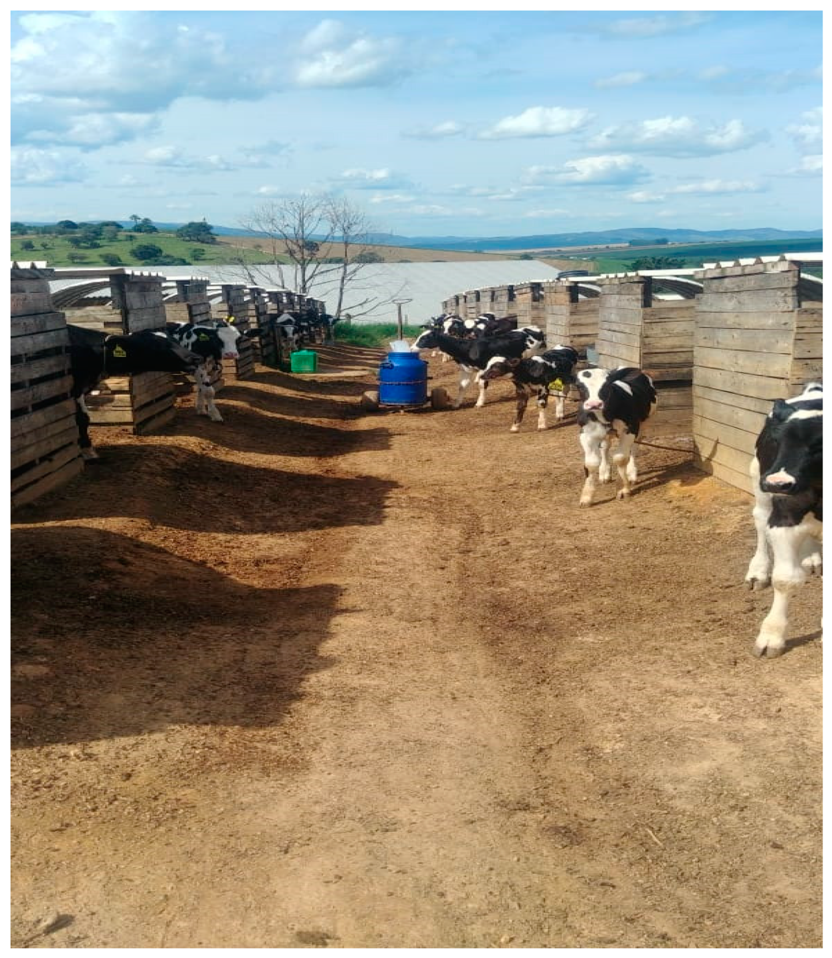 Vetsci 12 00128 g002