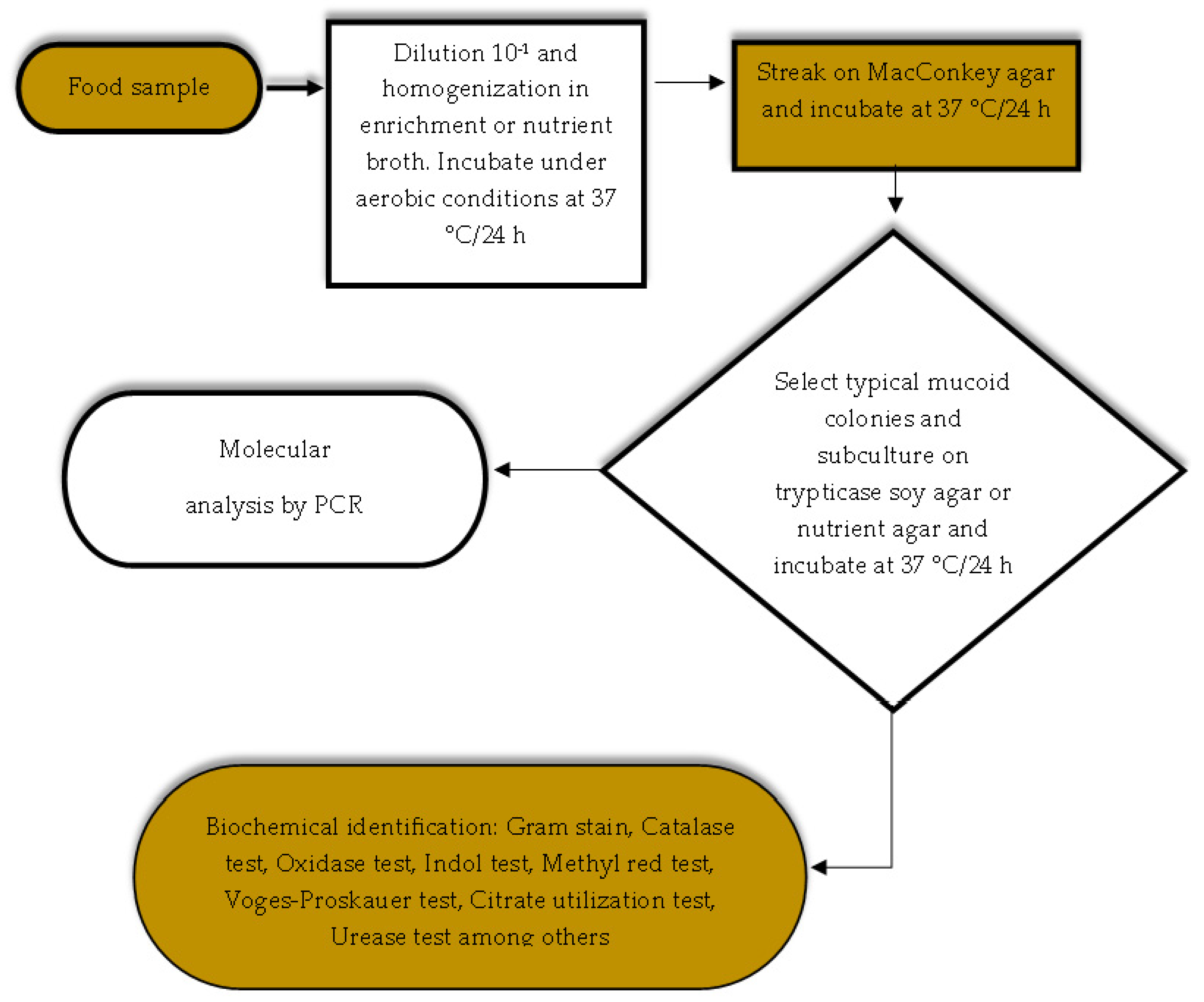 Vetsci 12 00133 g005