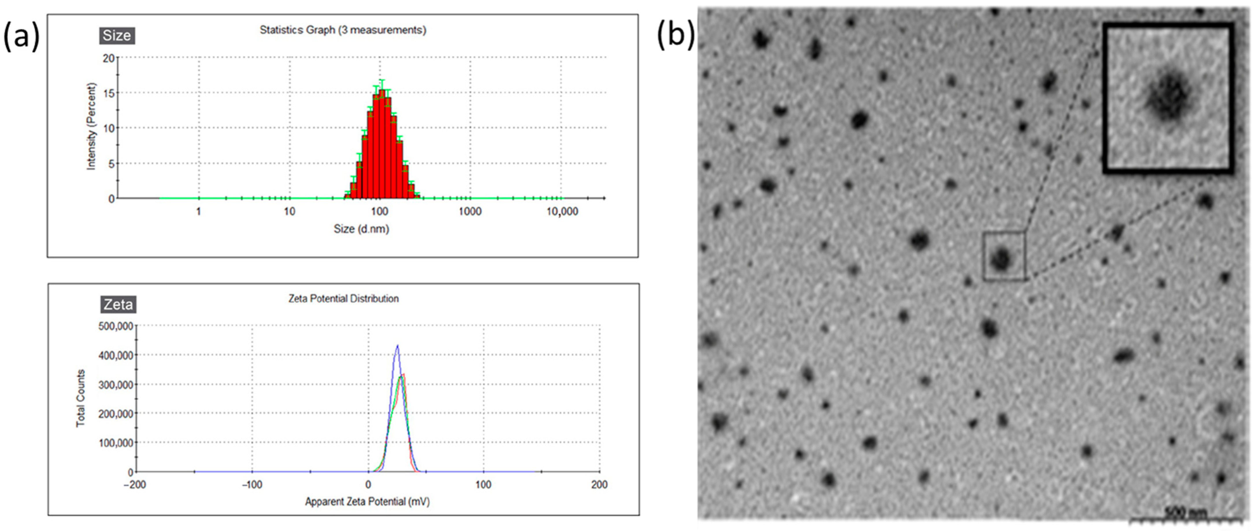Vetsci 12 00143 g001
