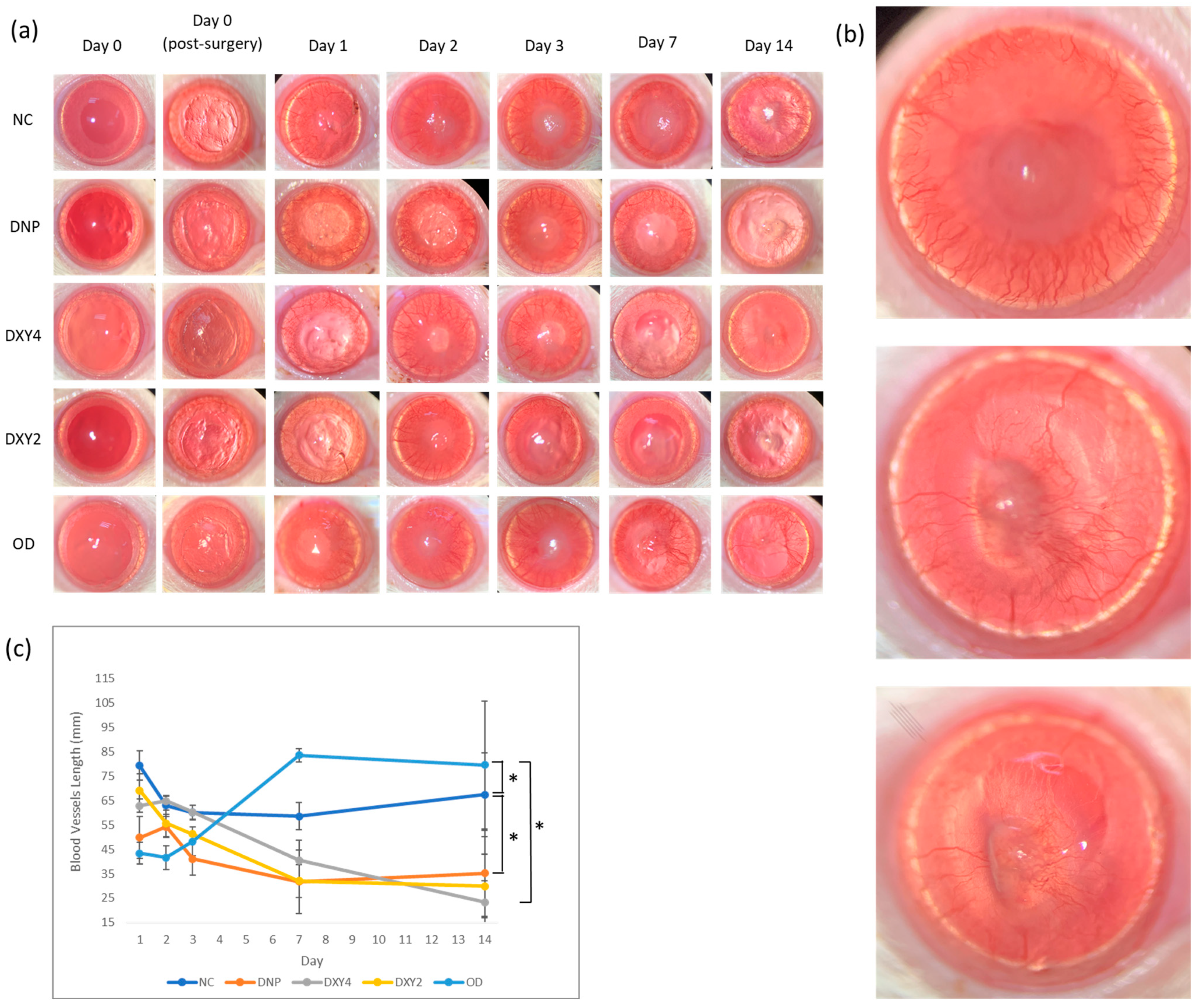 Vetsci 12 00143 g002