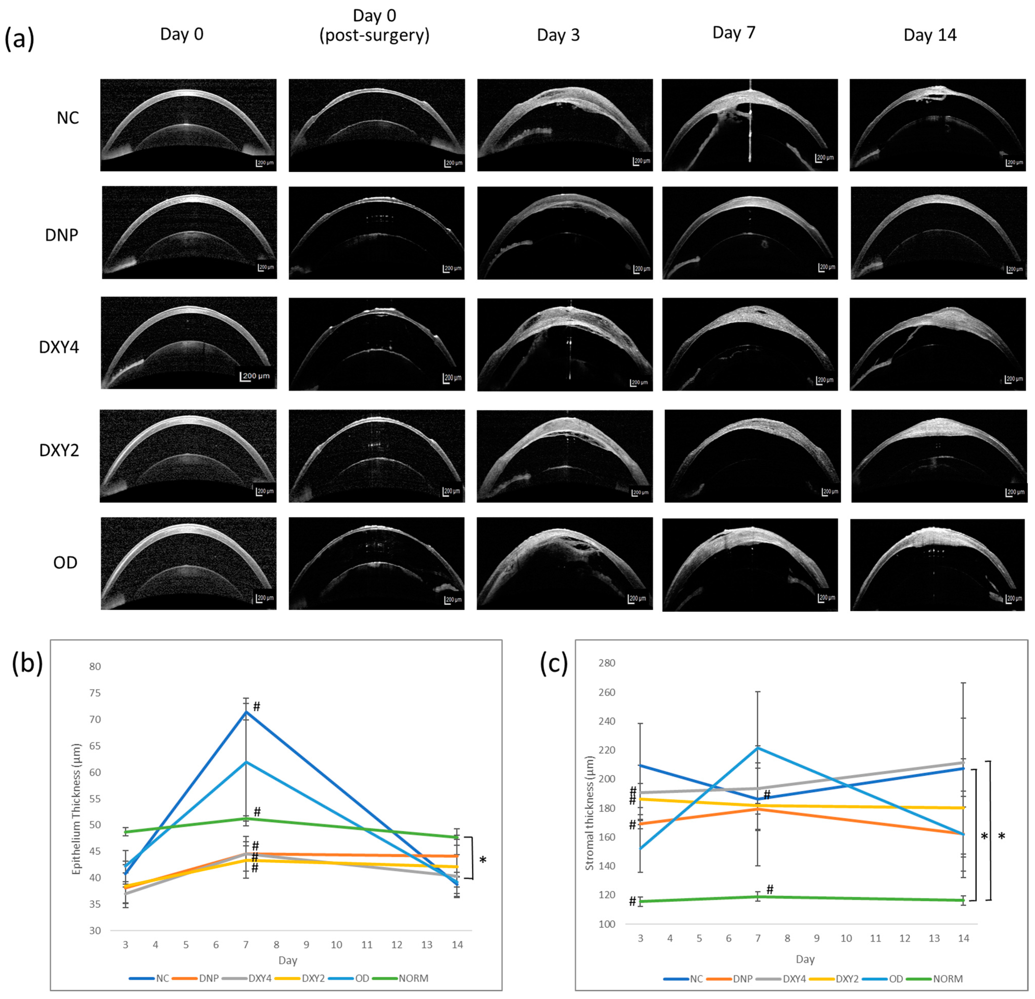 Vetsci 12 00143 g004