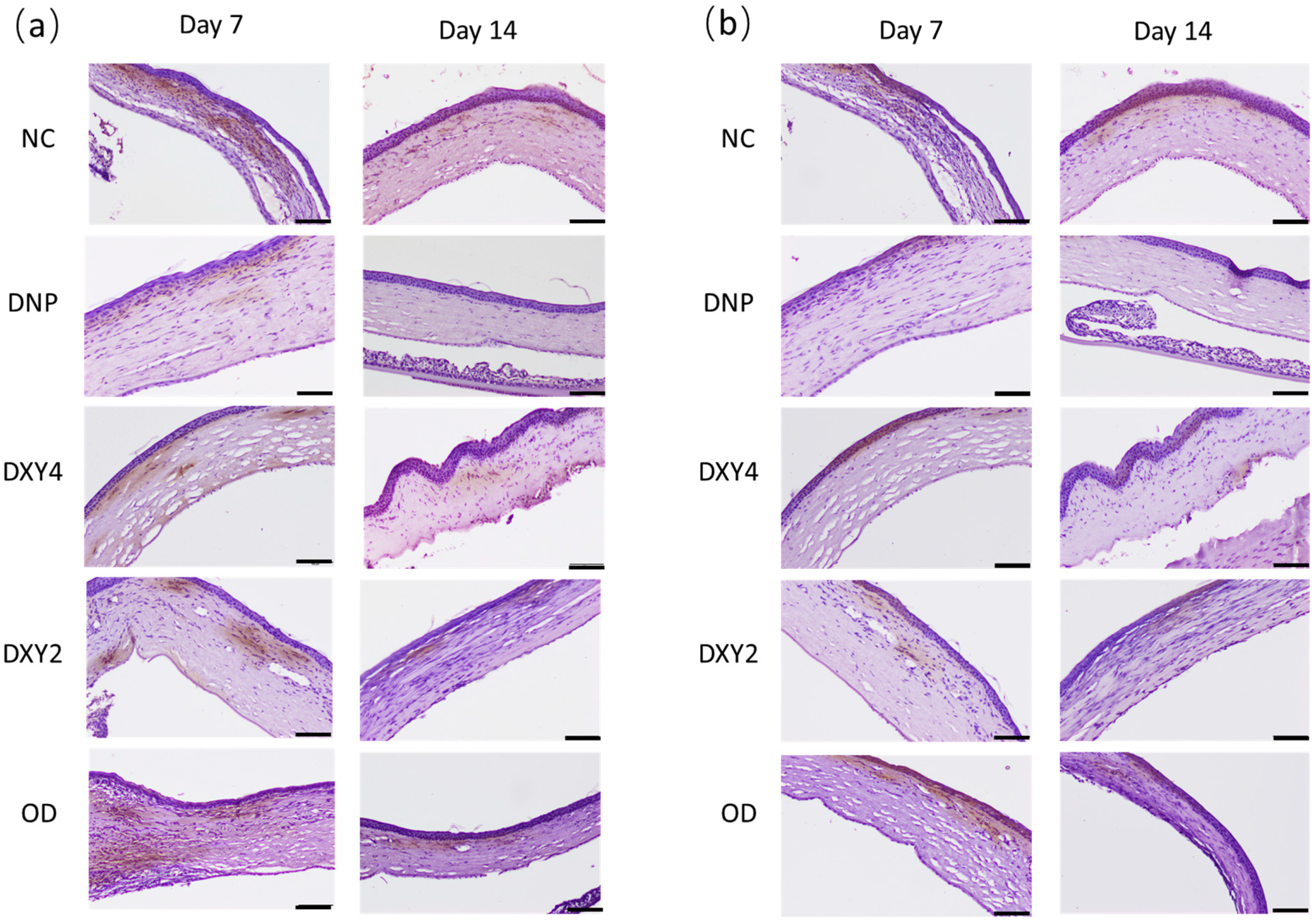 Vetsci 12 00143 g007