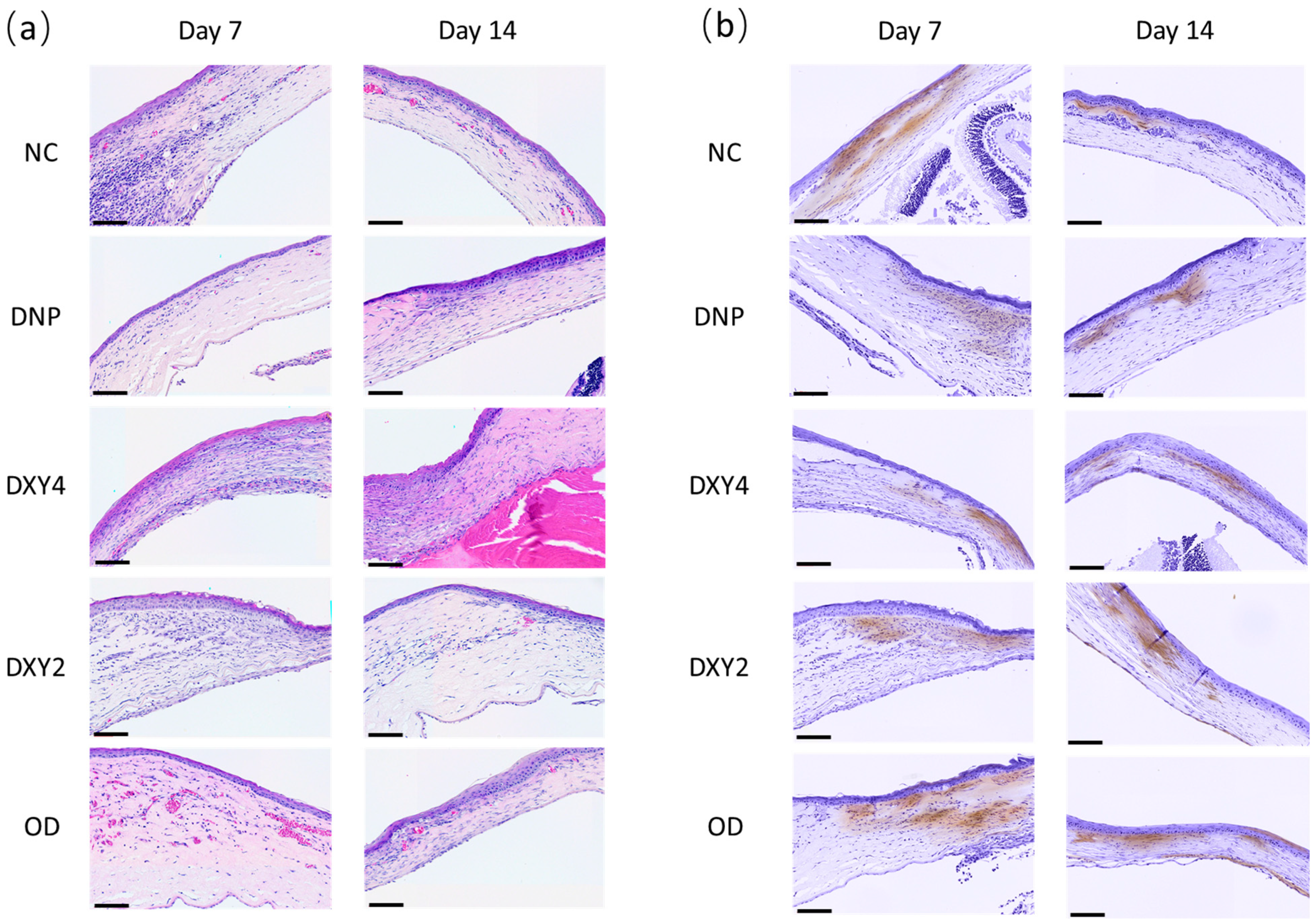 Vetsci 12 00143 g008