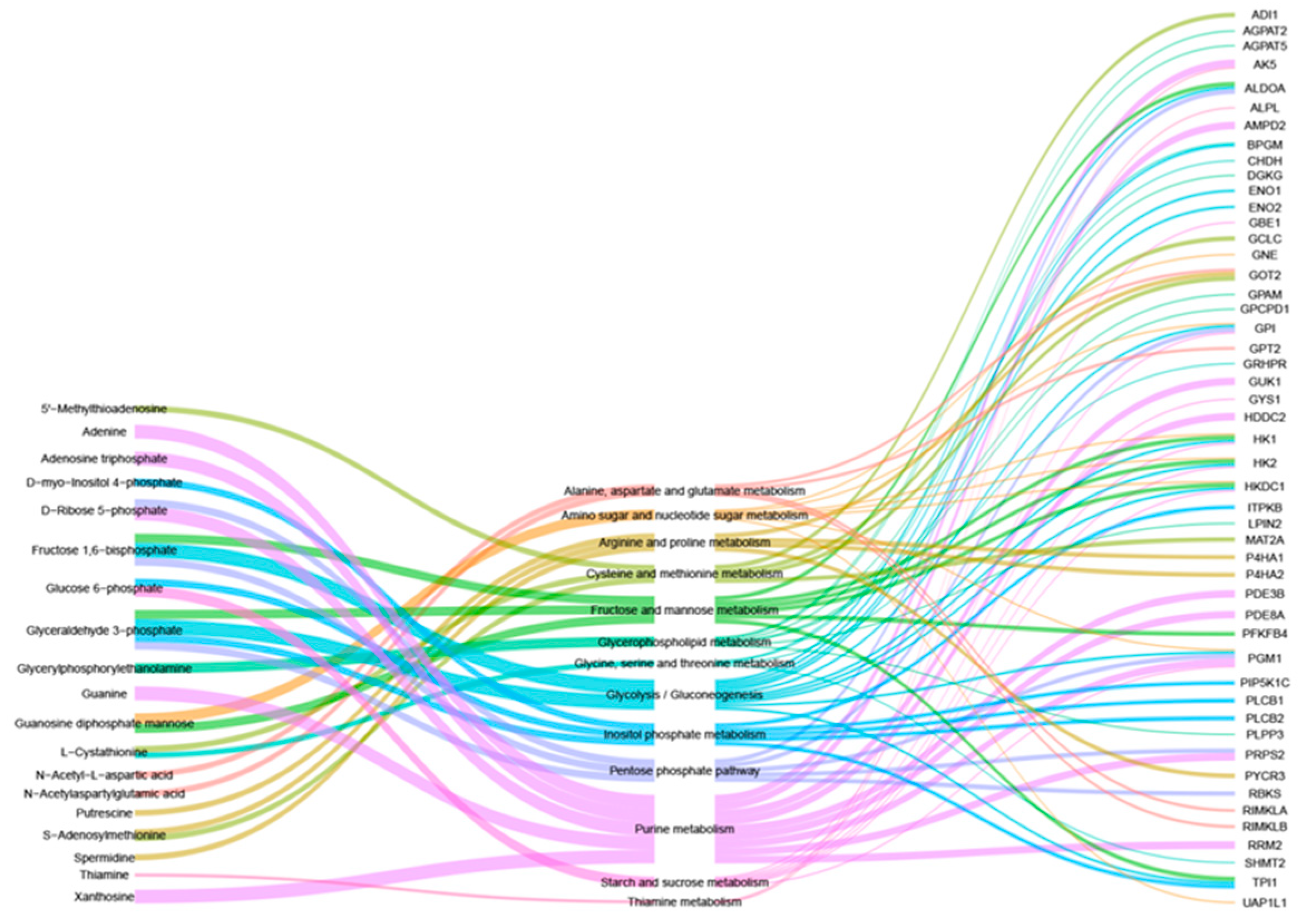 Vetsci 12 00147 g004