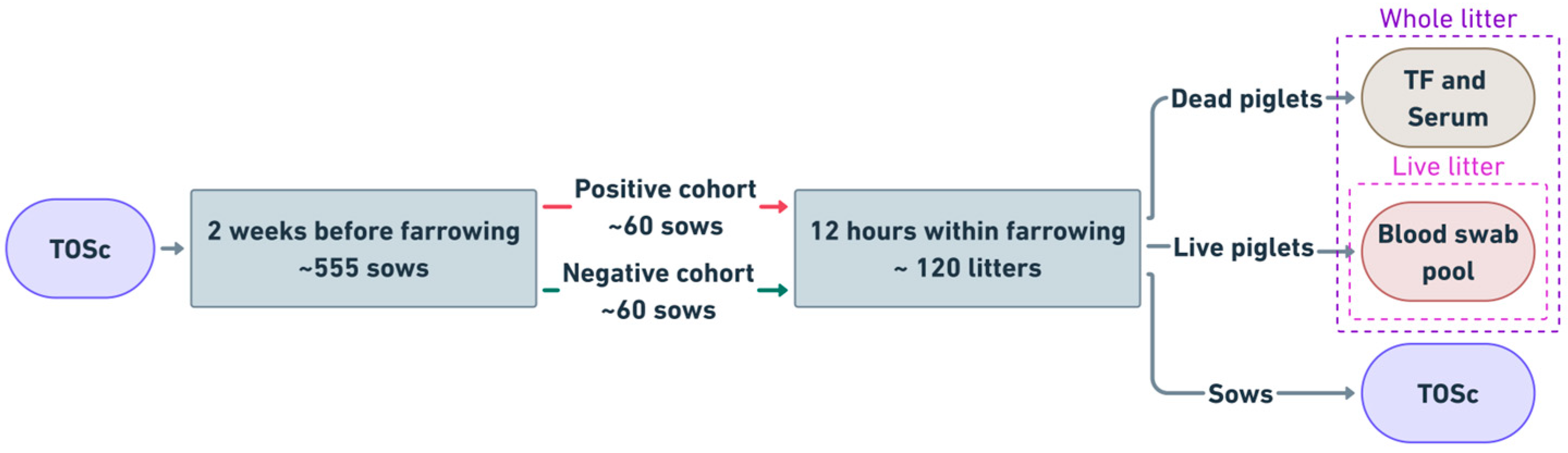 Vetsci 12 00150 g001