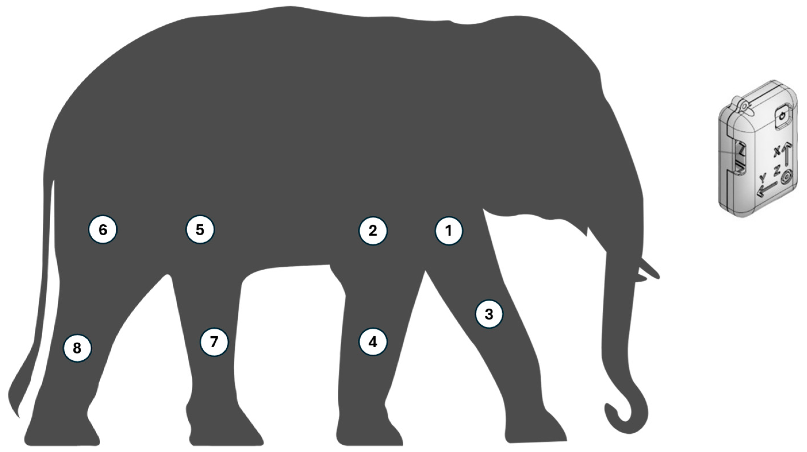 Vetsci 12 00154 g001