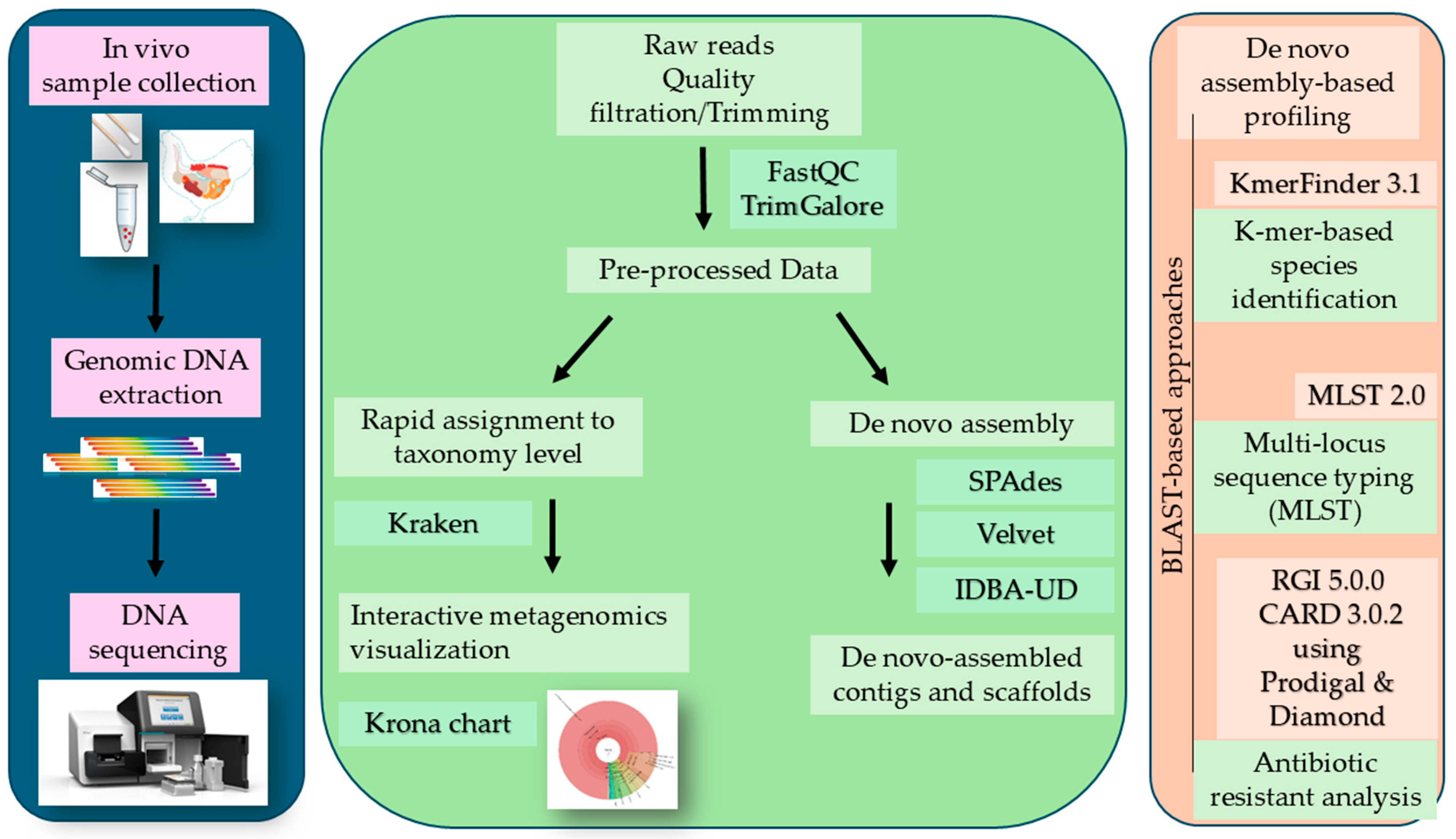Vetsci 12 00162 g001 Vetsci 12 00162 g001