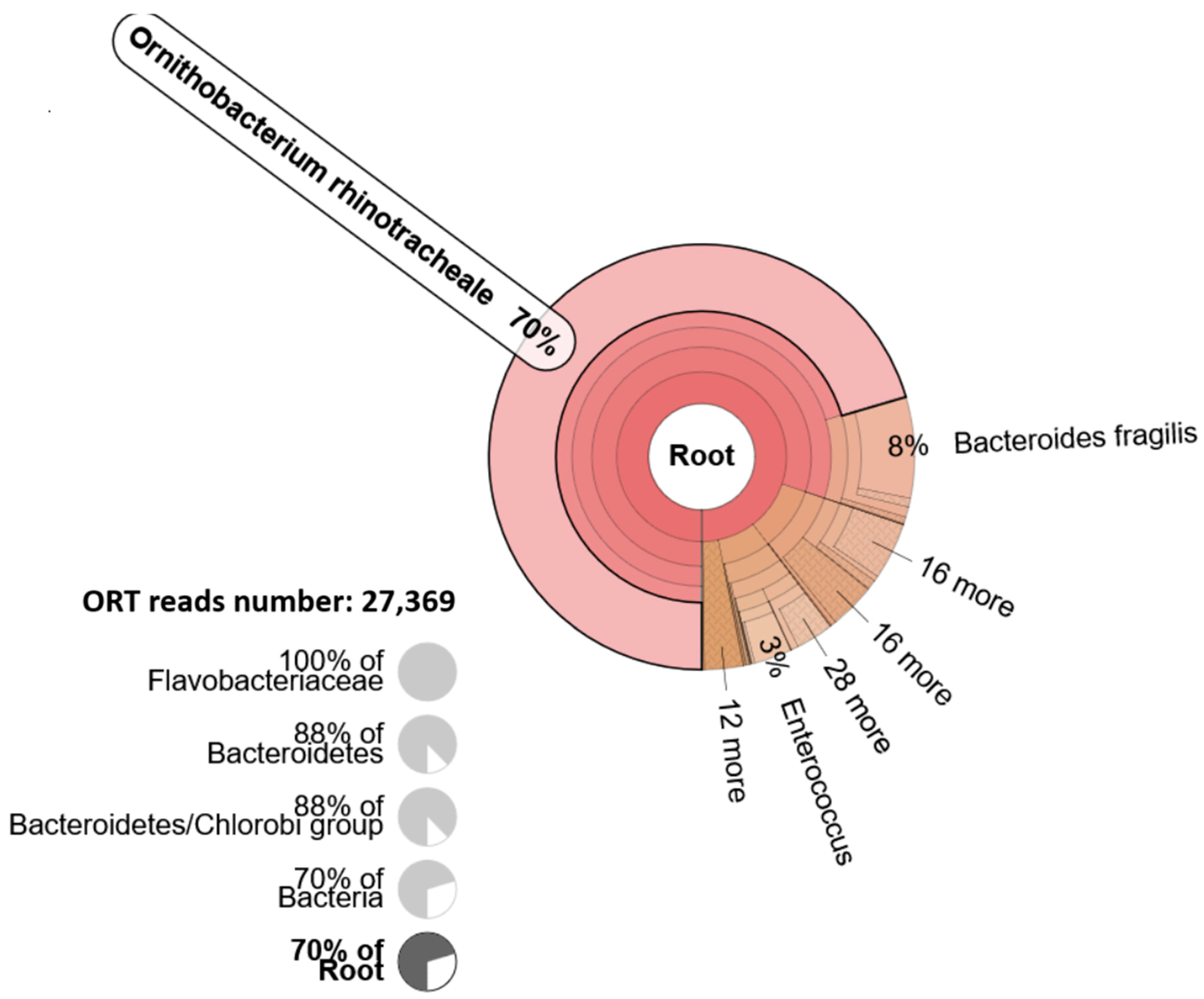 Vetsci 12 00162 g002 Vetsci 12 00162 g002