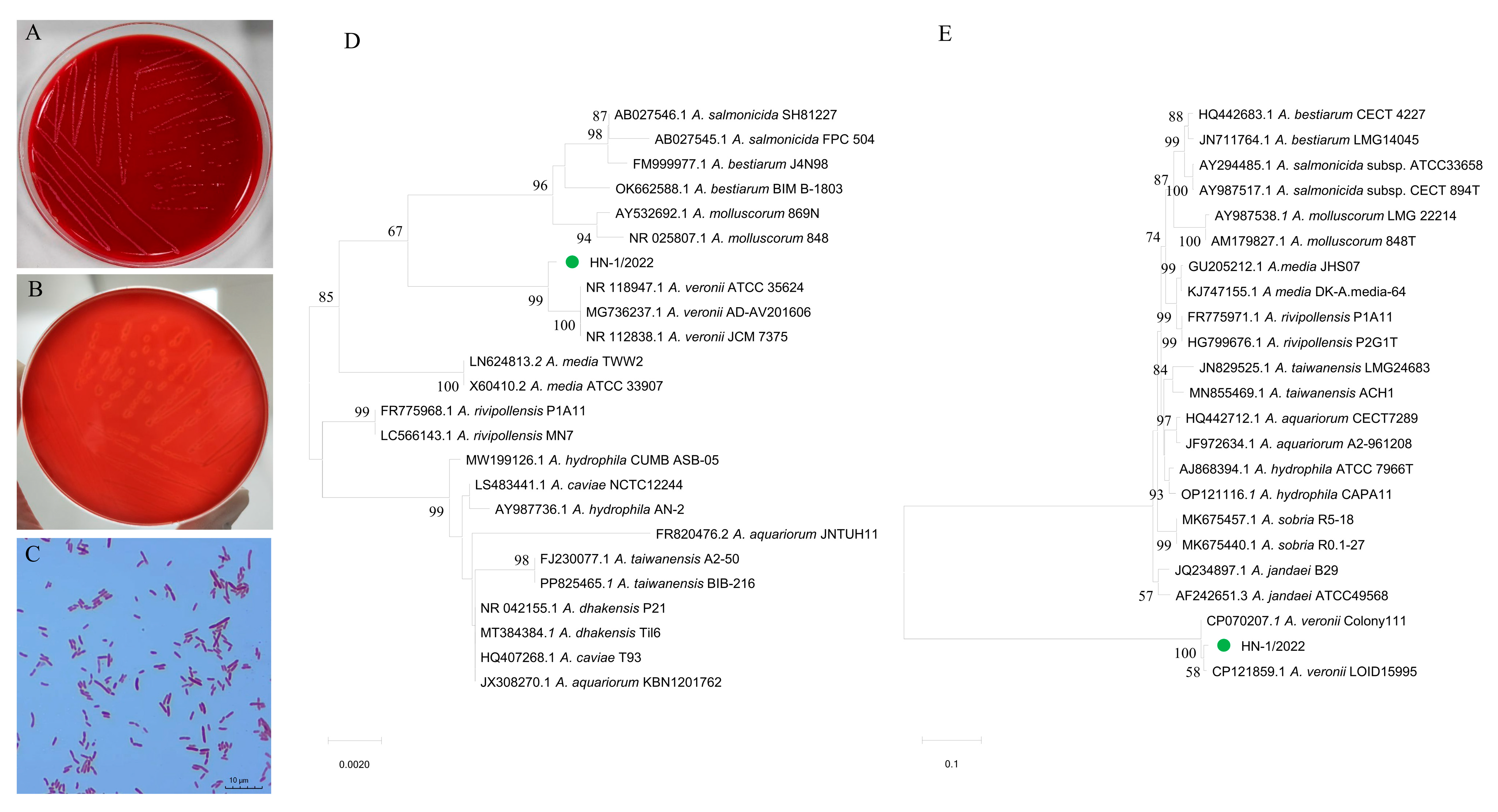 Vetsci 12 00164 g003