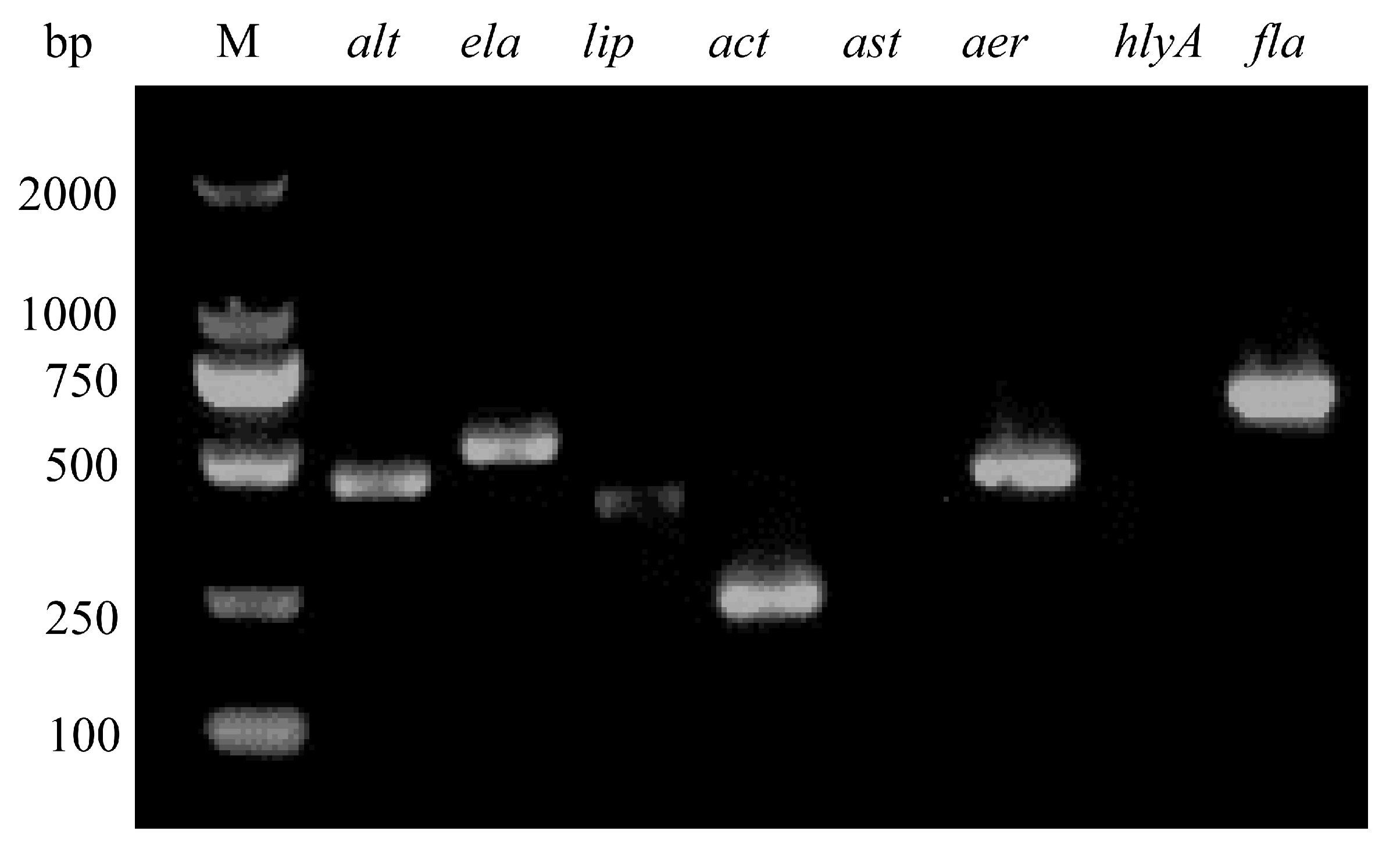 Vetsci 12 00164 g004