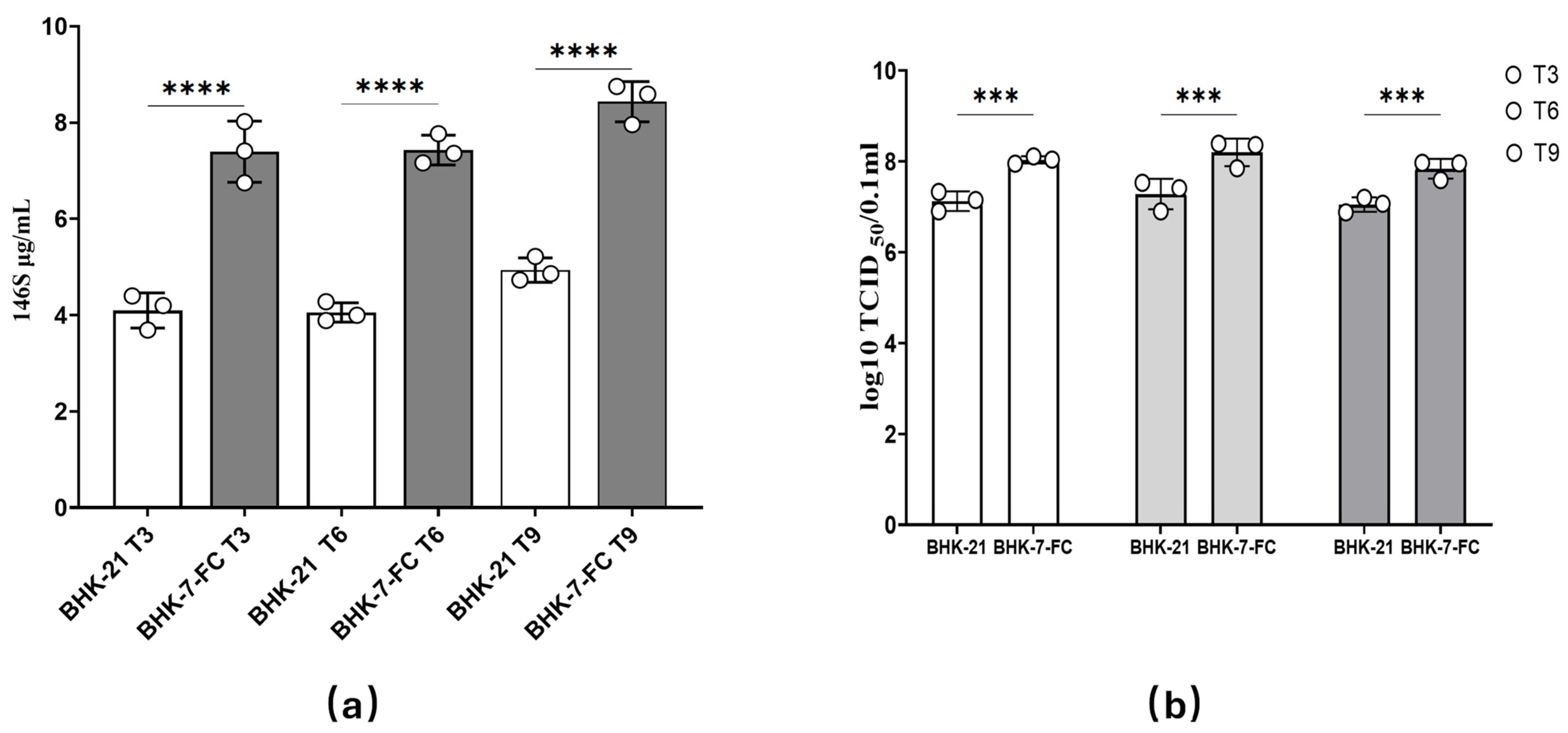 Vetsci 12 00167 g005