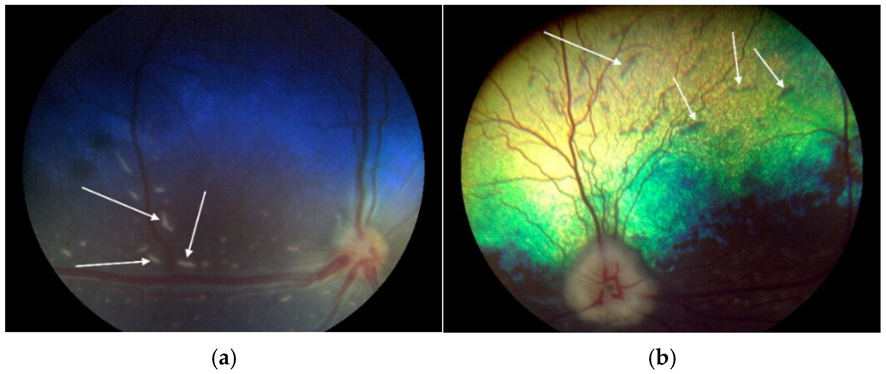 Vetsci 12 00171 g001 Vetsci 12 00171 g001