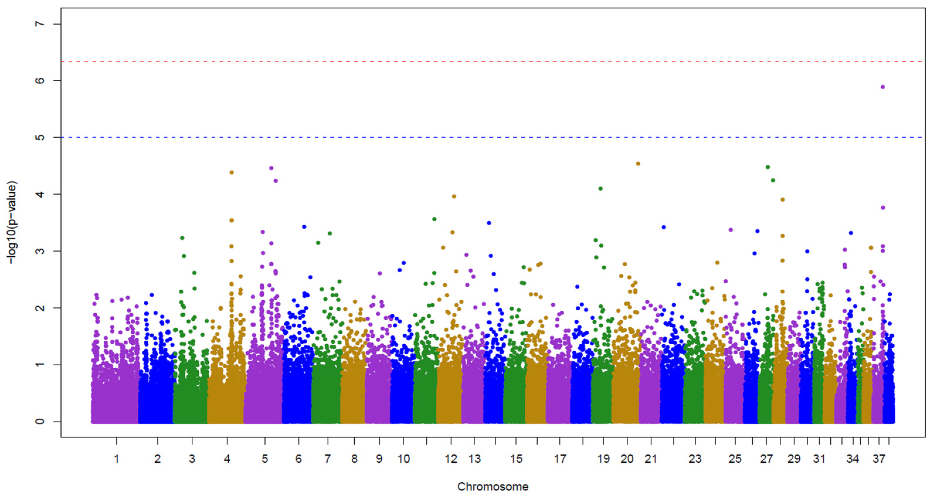 Vetsci 12 00171 g002 Vetsci 12 00171 g002