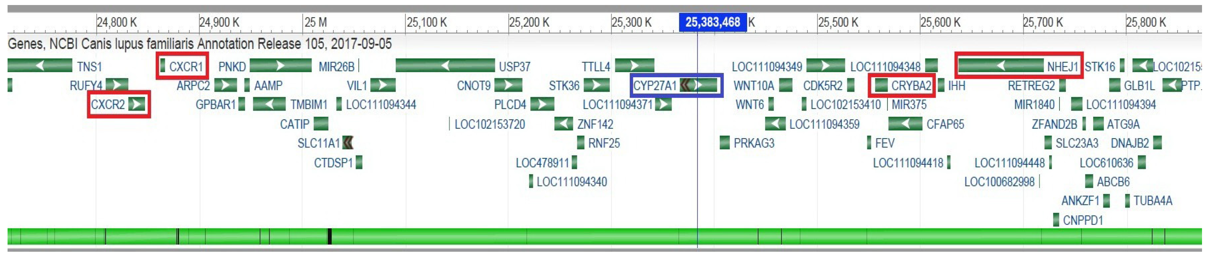 Vetsci 12 00171 g003 Vetsci 12 00171 g003