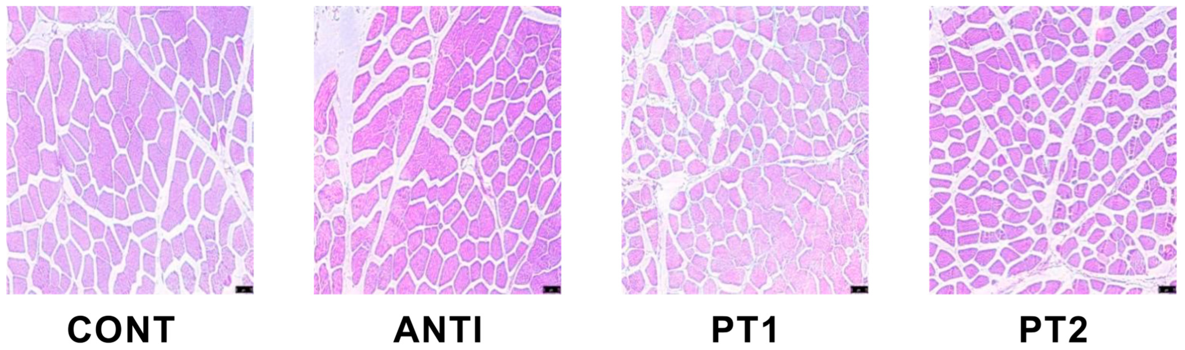 Vetsci 12 00173 g001