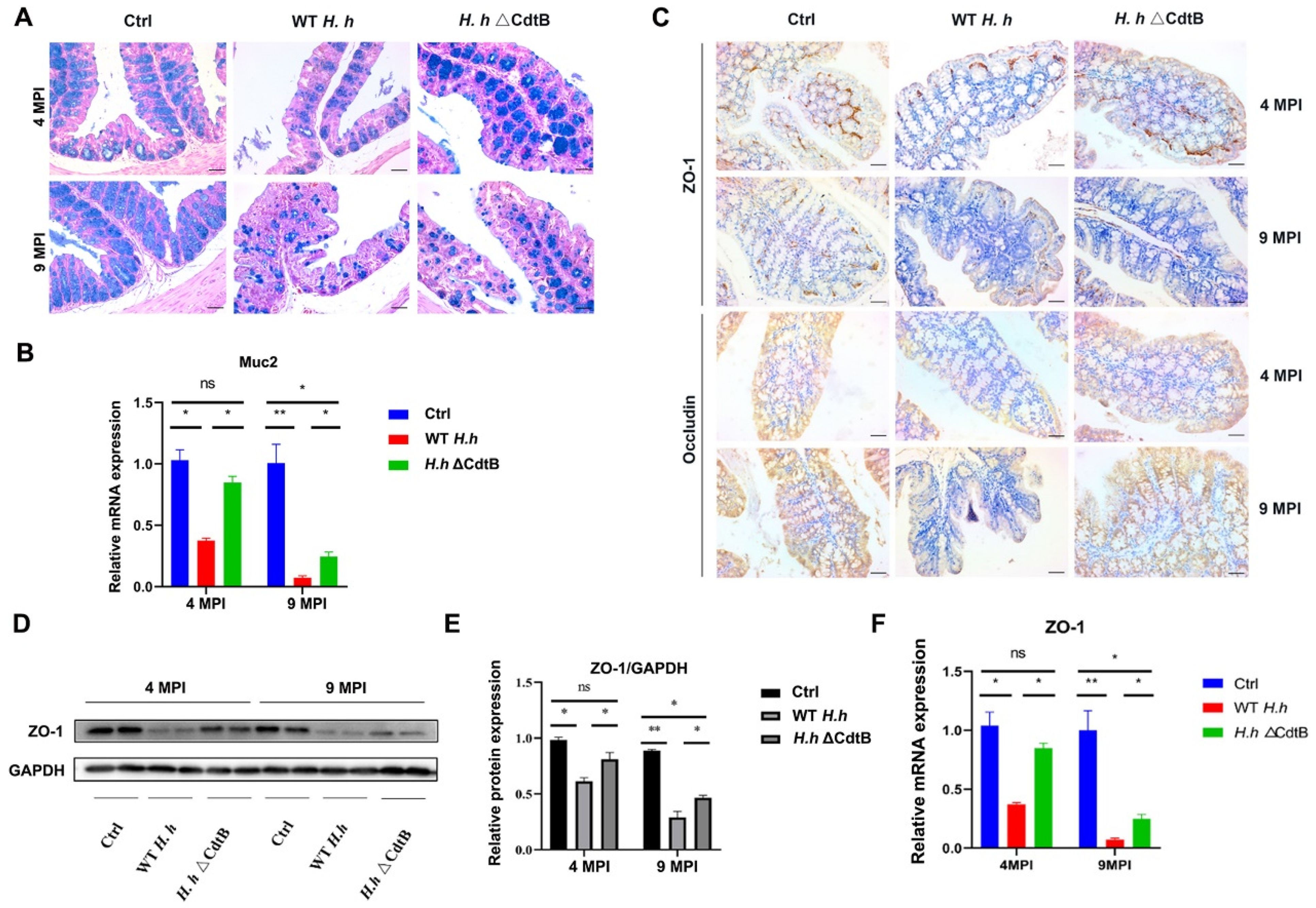 Vetsci 12 00174 g002