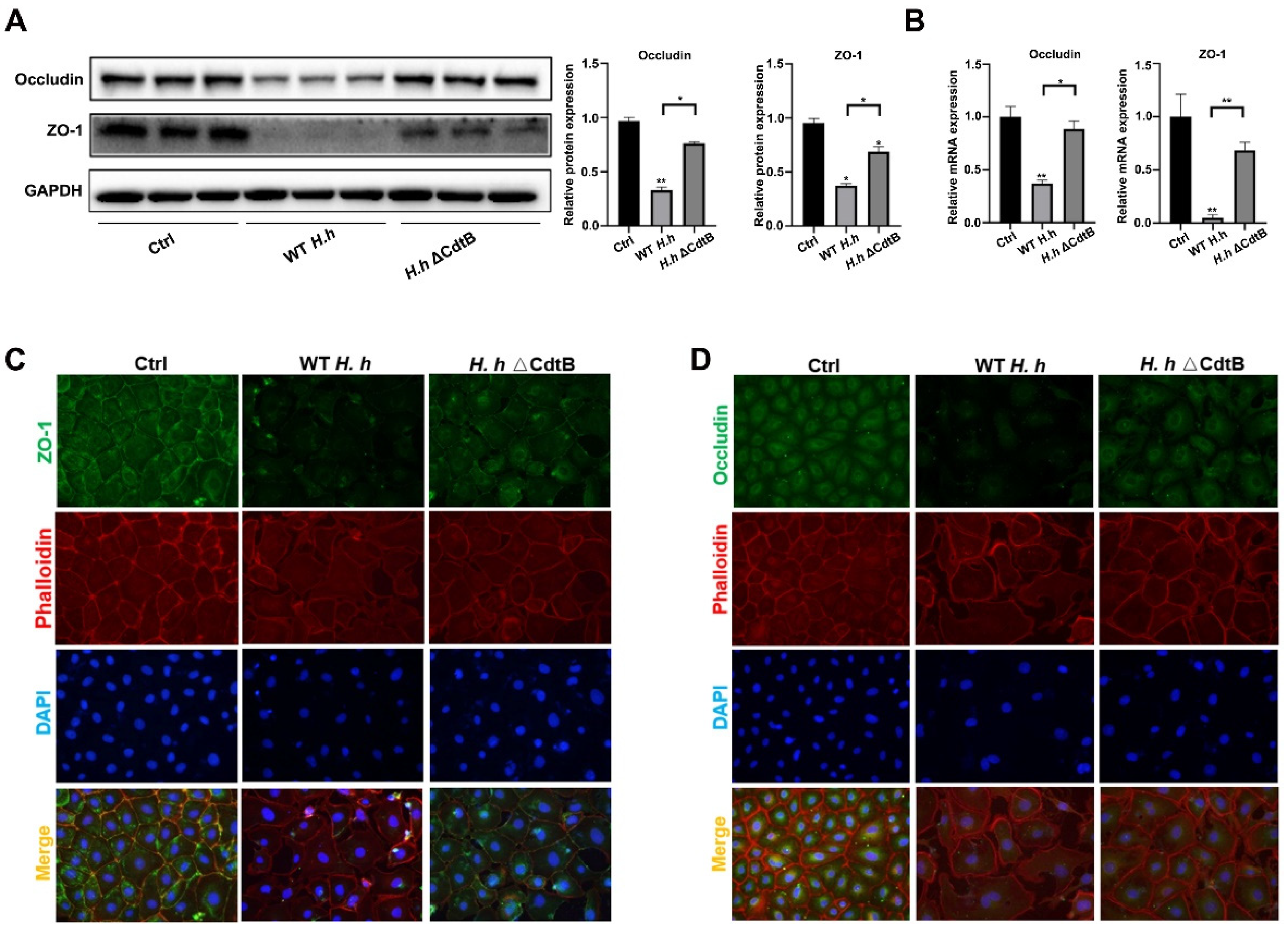 Vetsci 12 00174 g004