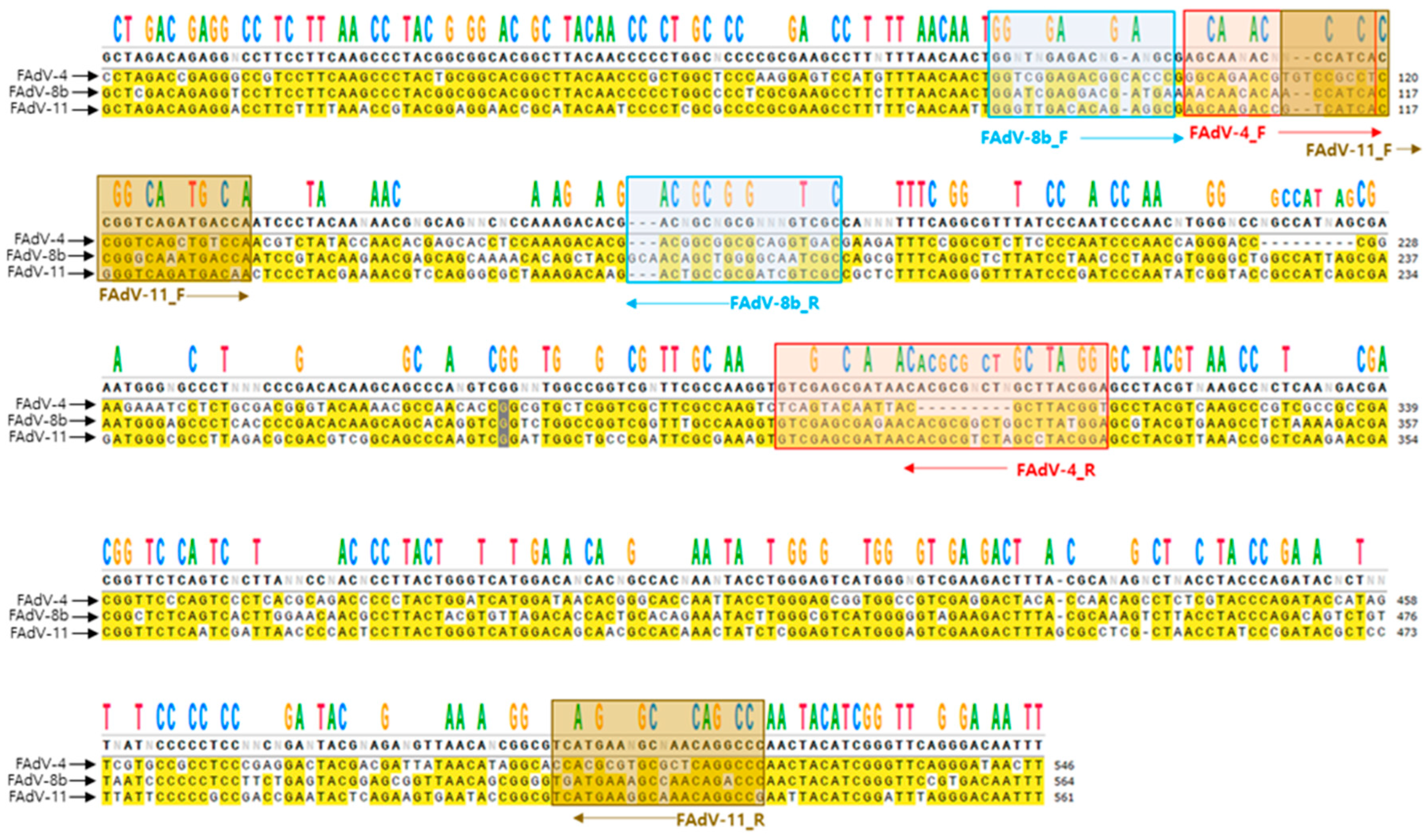 Vetsci 12 00177 g001