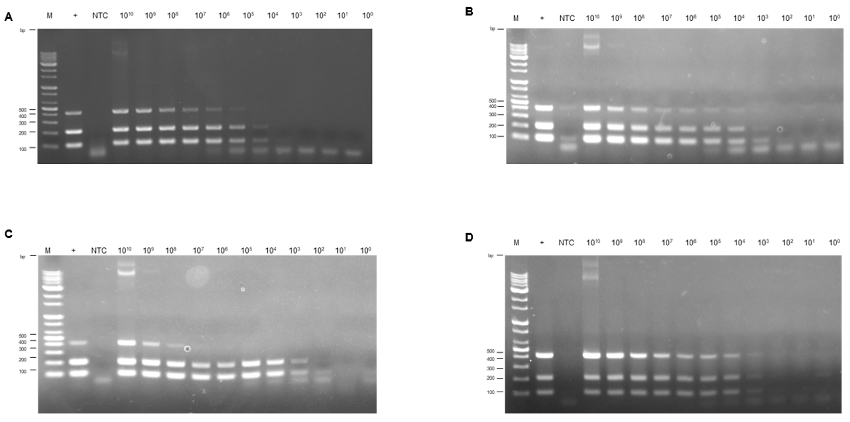 Vetsci 12 00177 g003