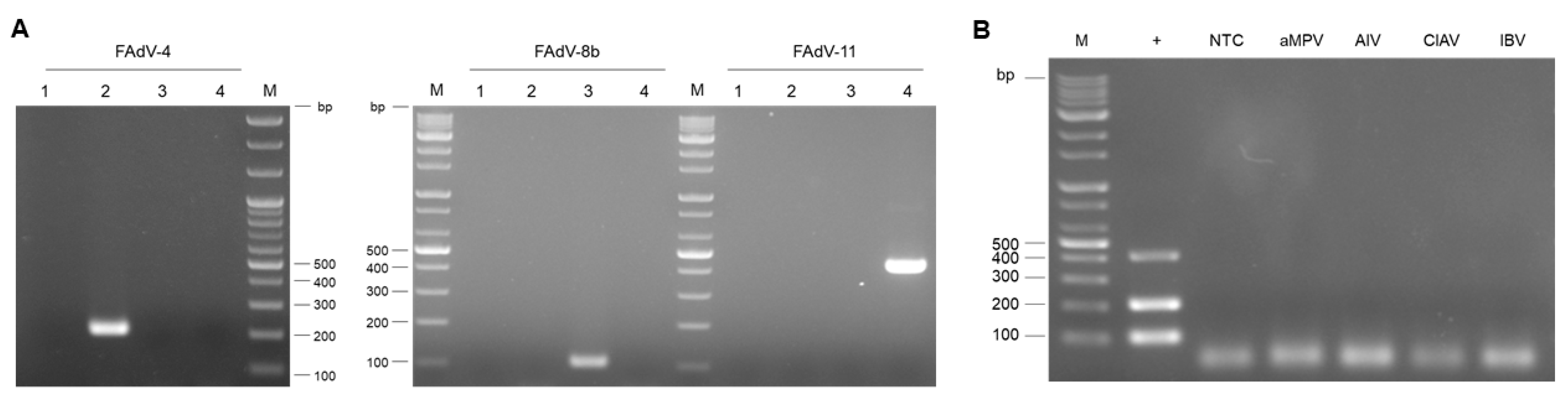 Vetsci 12 00177 g004
