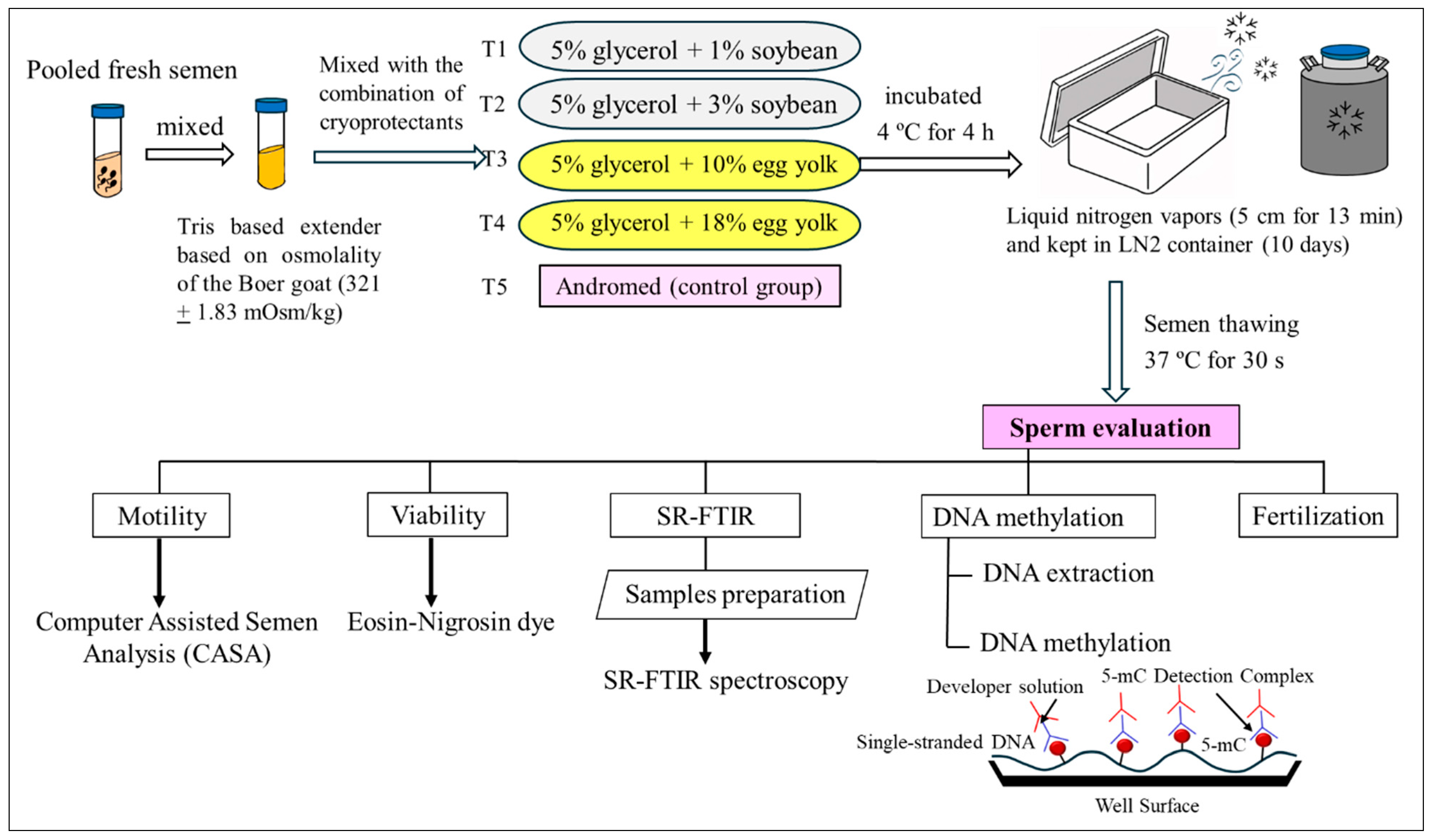 Vetsci 12 00178 g001 Vetsci 12 00178 g001