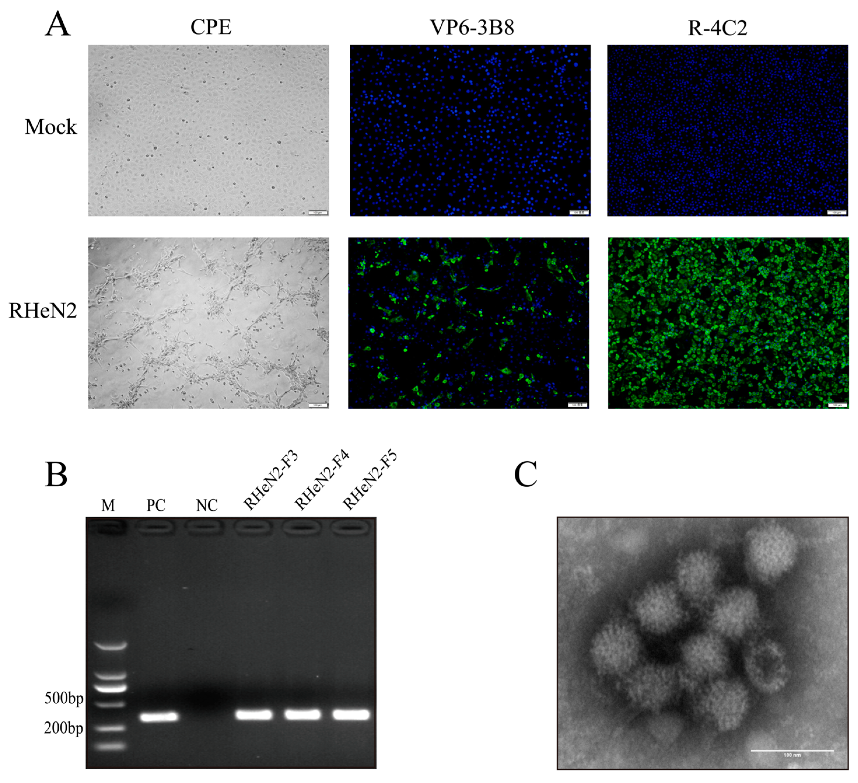 Vetsci 12 00180 g001
