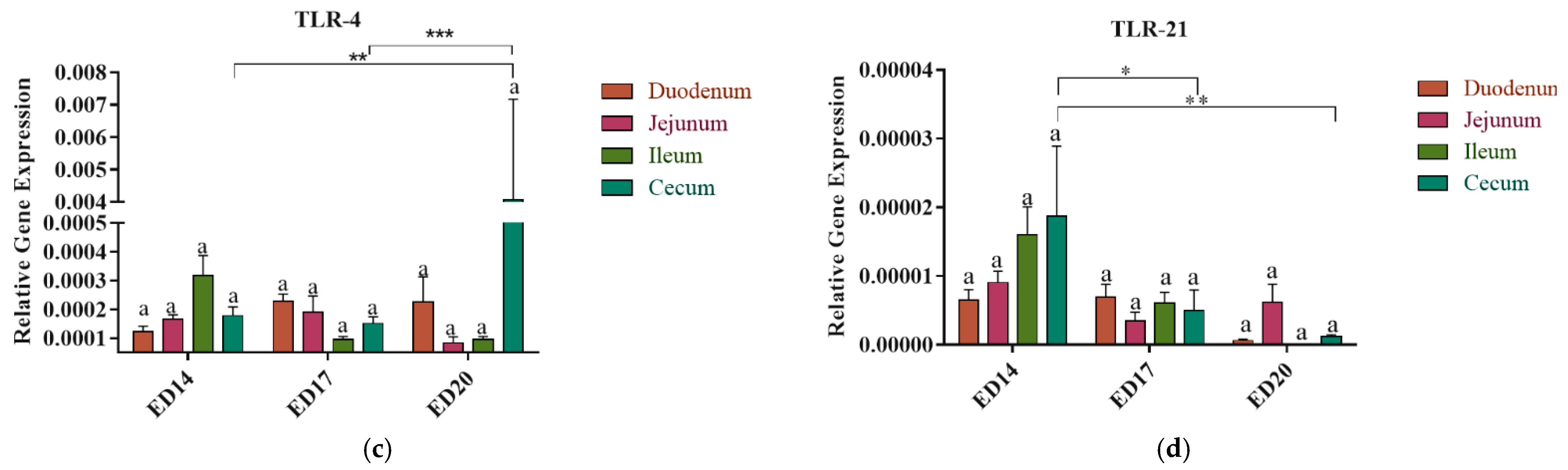 Vetsci 12 00186 g003b