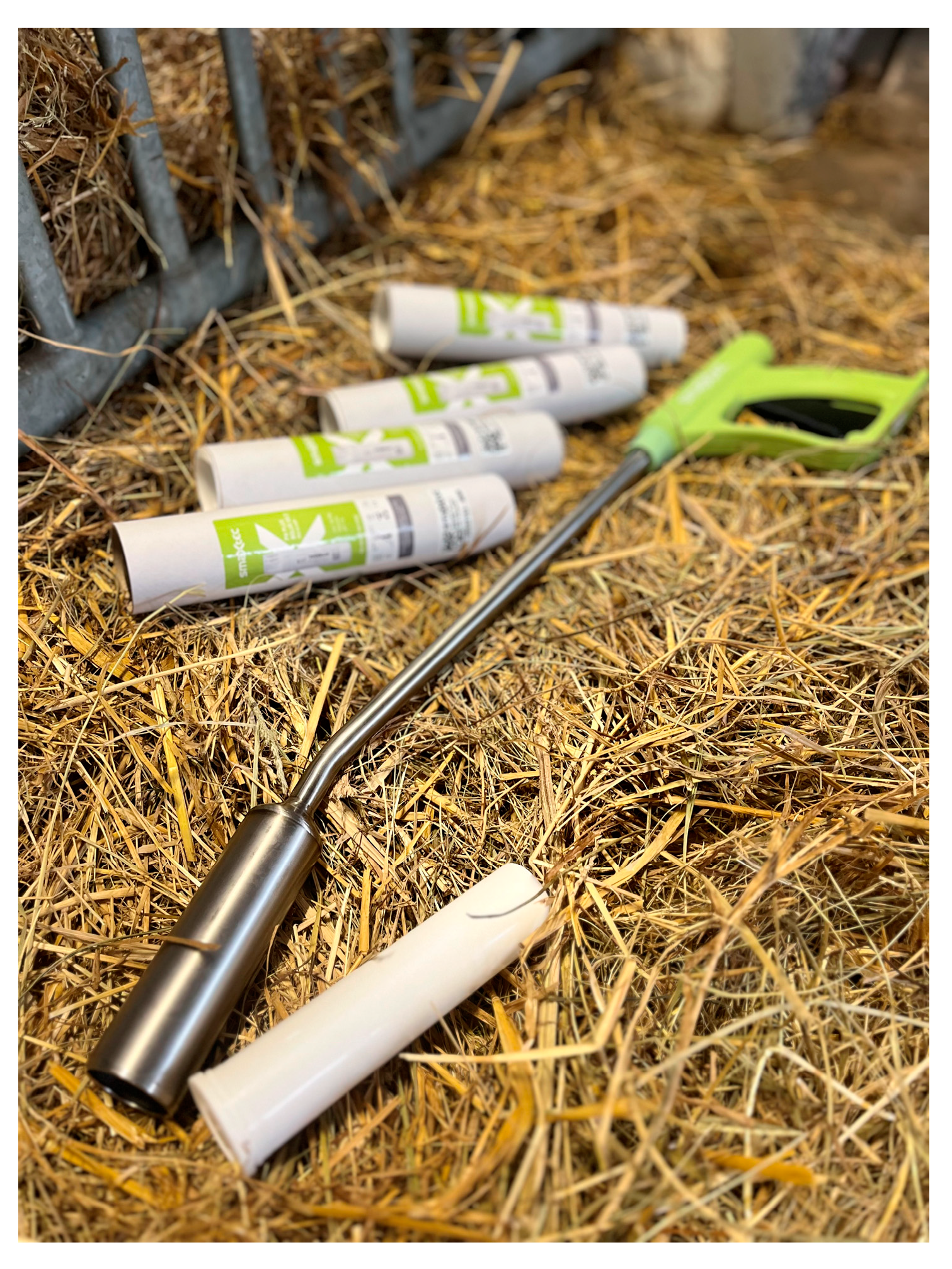 Vetsci 12 00187 g001