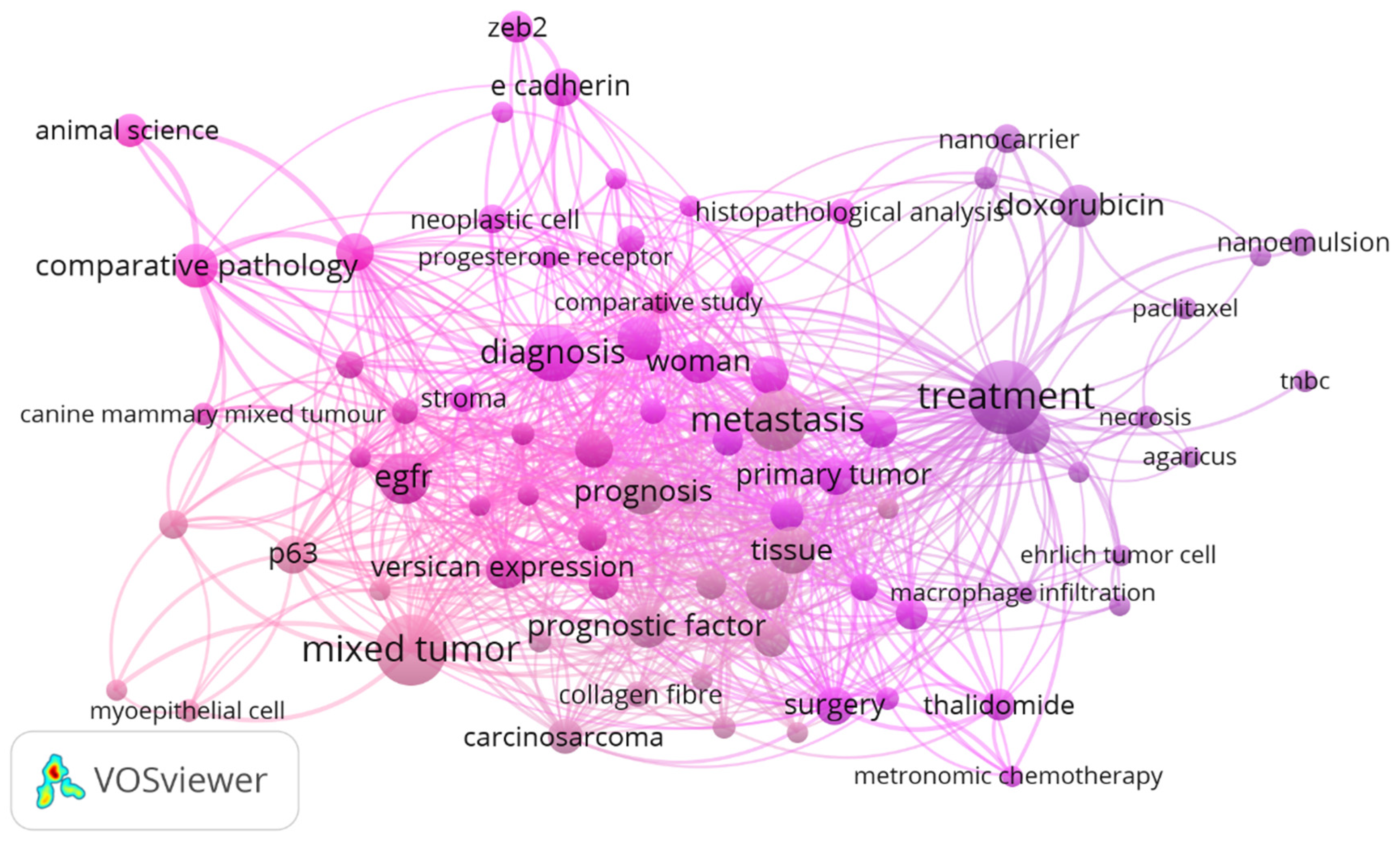 Vetsci 12 00189 g001 Vetsci 12 00189 g001