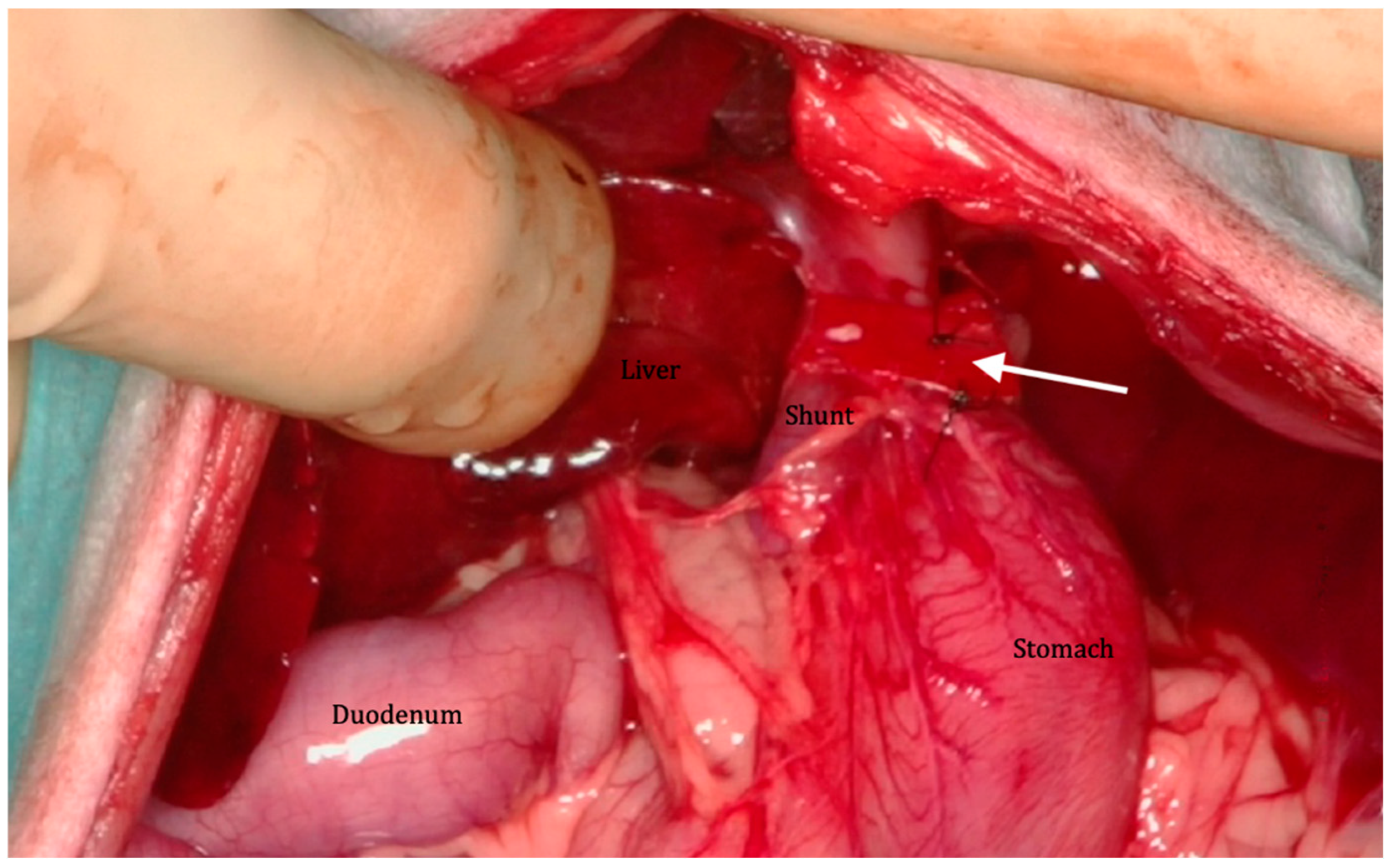 Vetsci 12 00190 g001