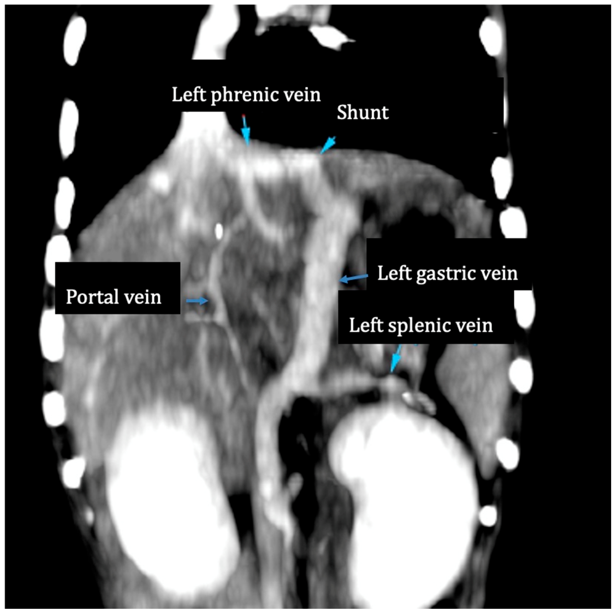 Vetsci 12 00190 g002