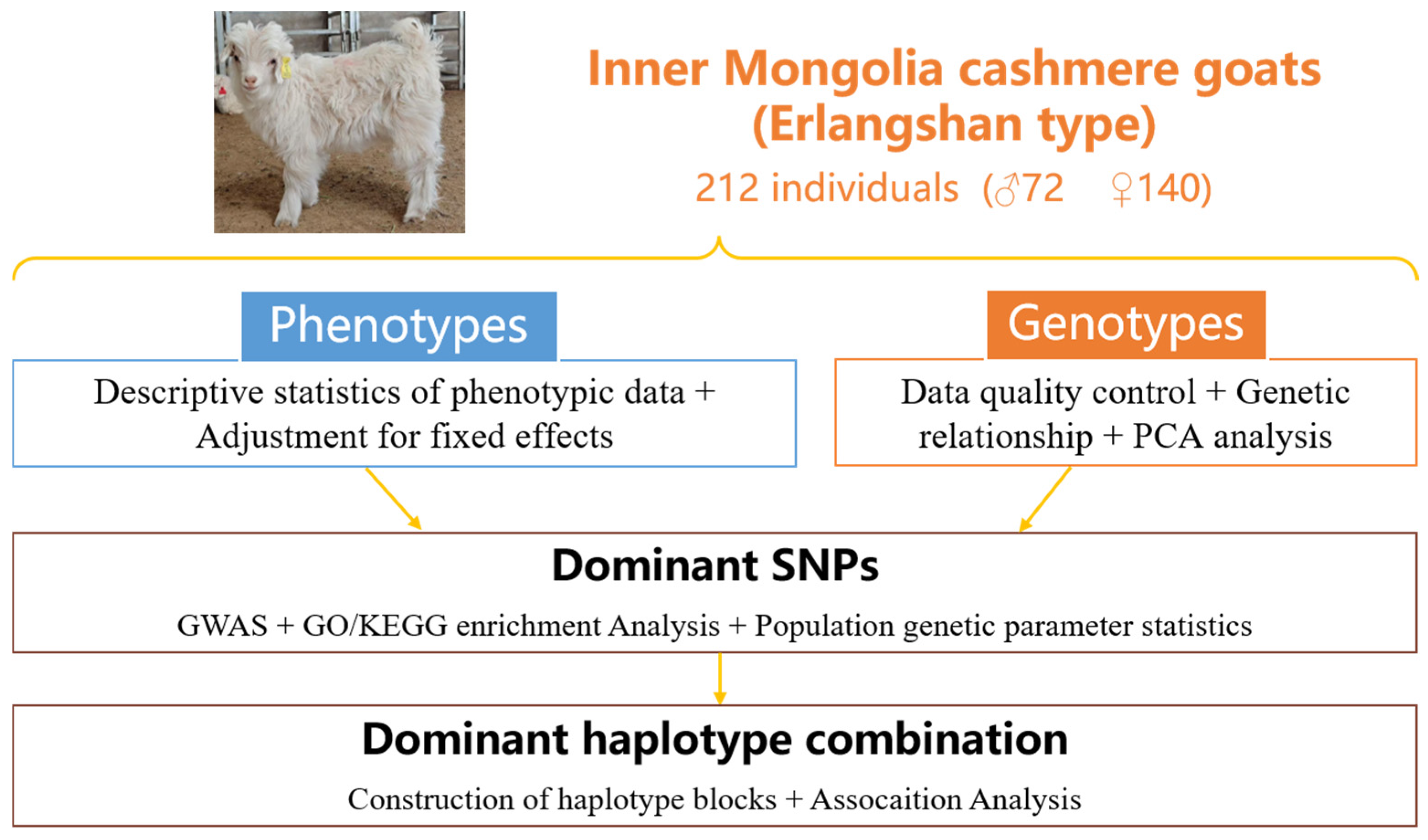 Vetsci 12 00192 g001