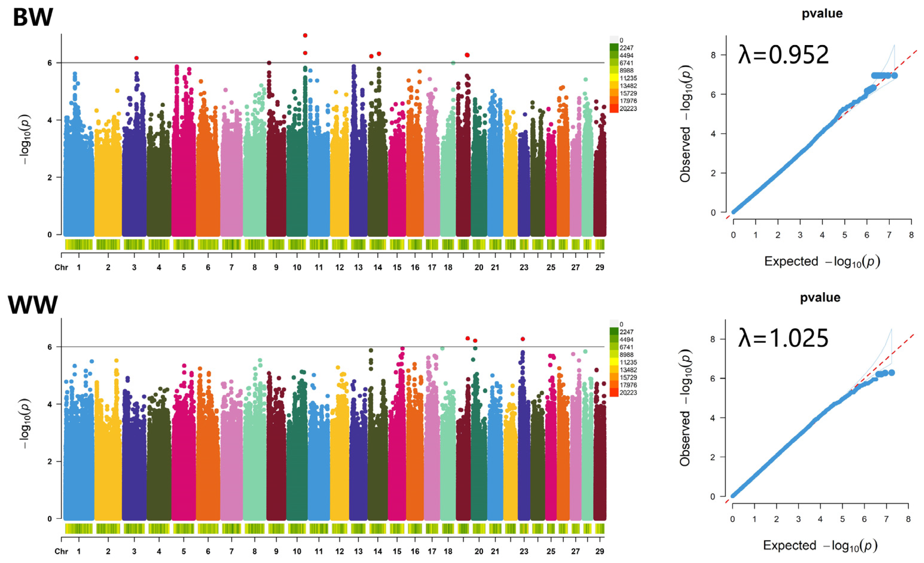 Vetsci 12 00192 g004