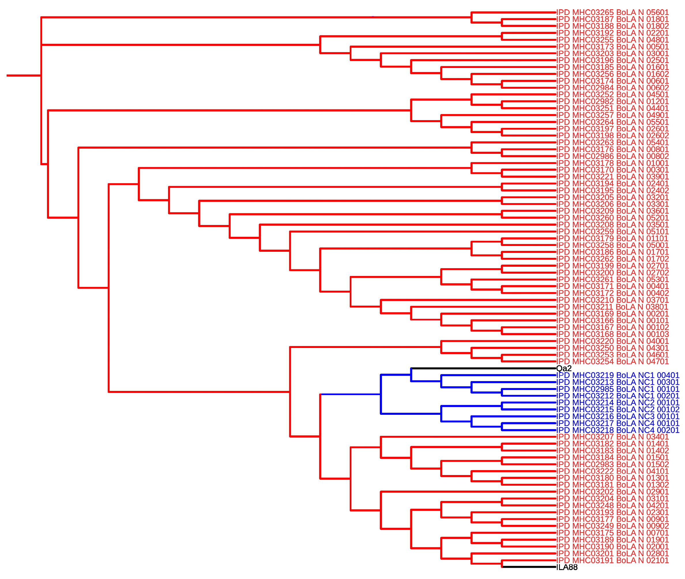 Vetsci 12 00196 g001 Vetsci 12 00196 g001