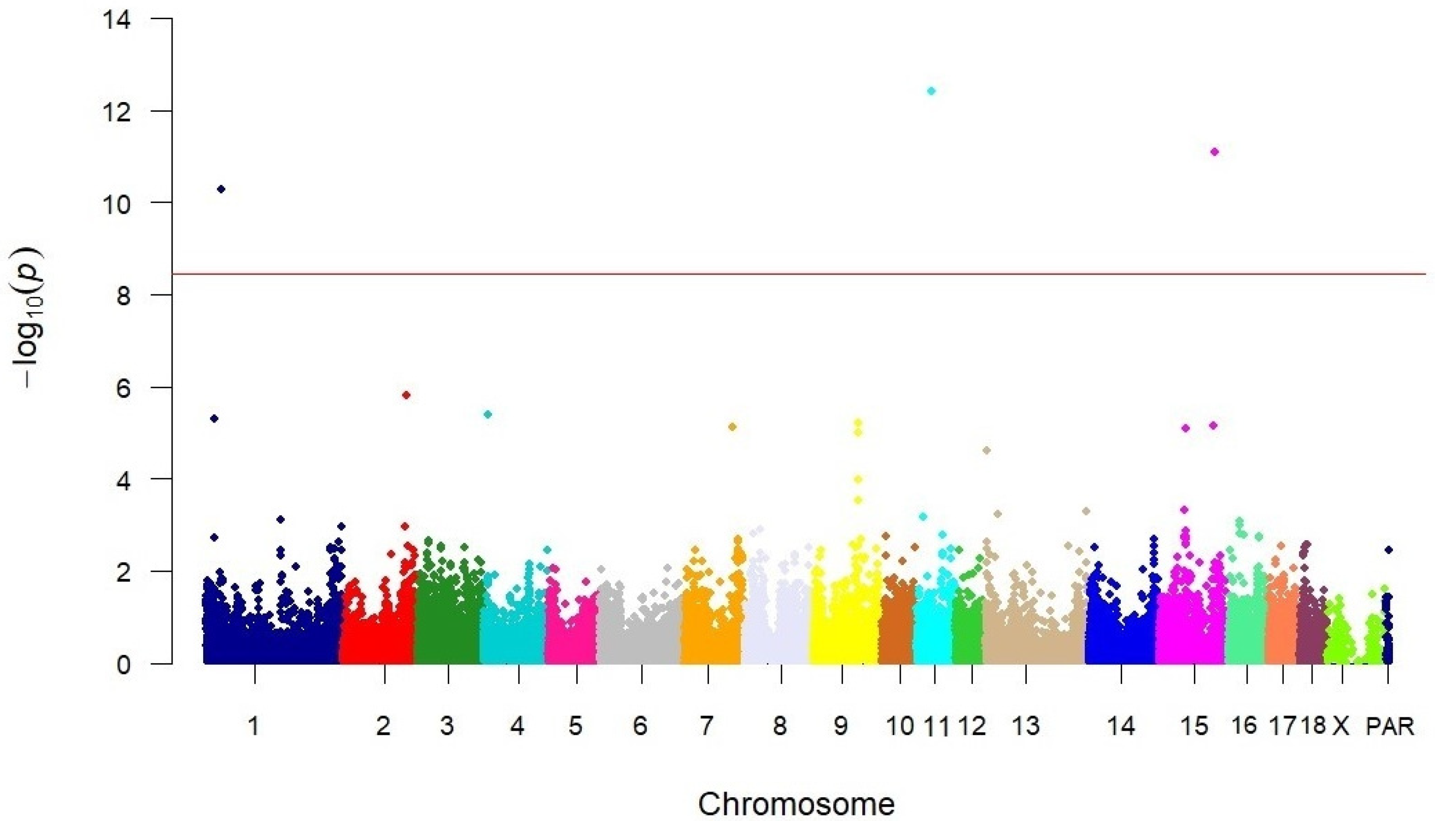 Vetsci 12 00198 g001