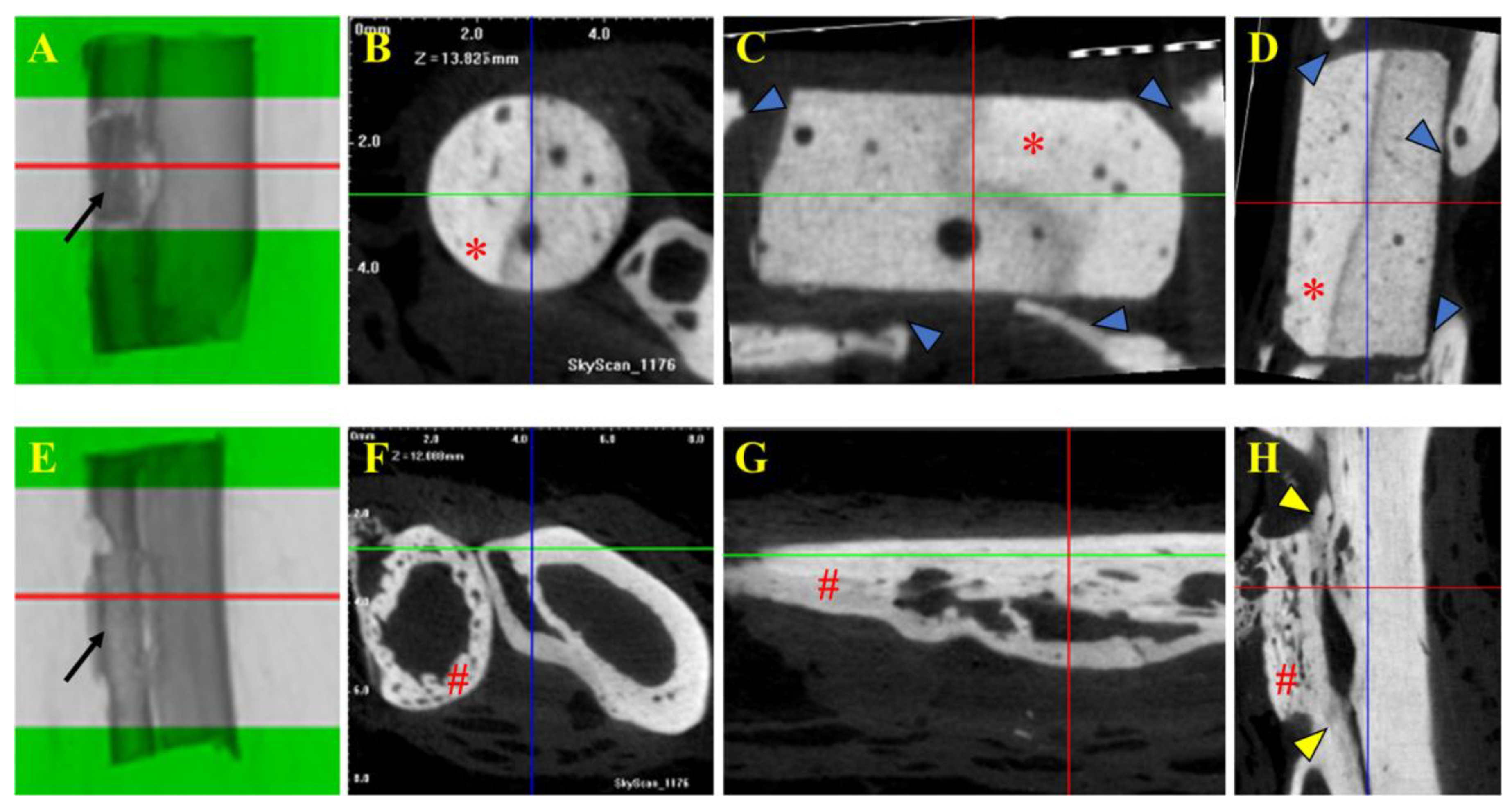 Vetsci 12 00200 g004