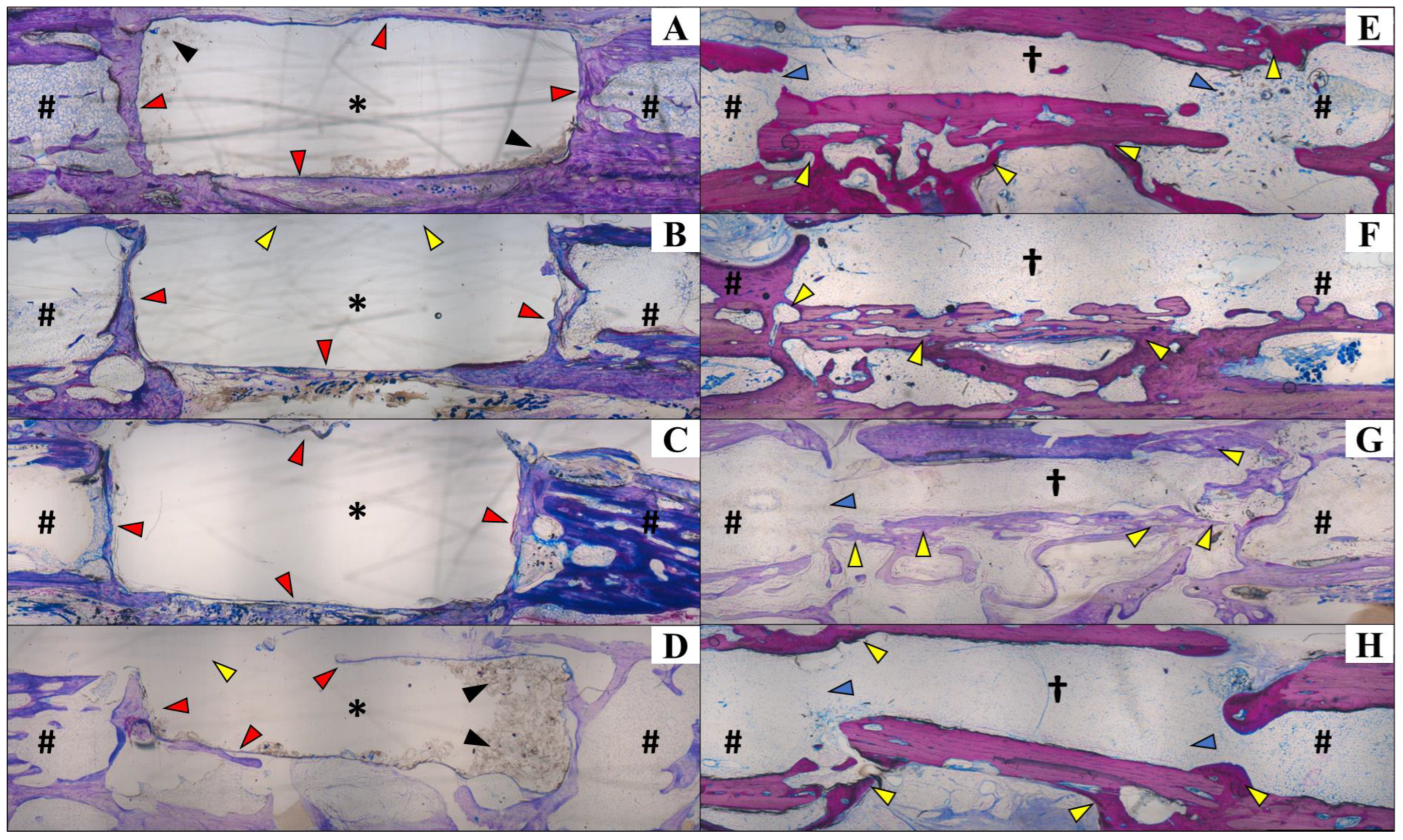 Vetsci 12 00200 g005