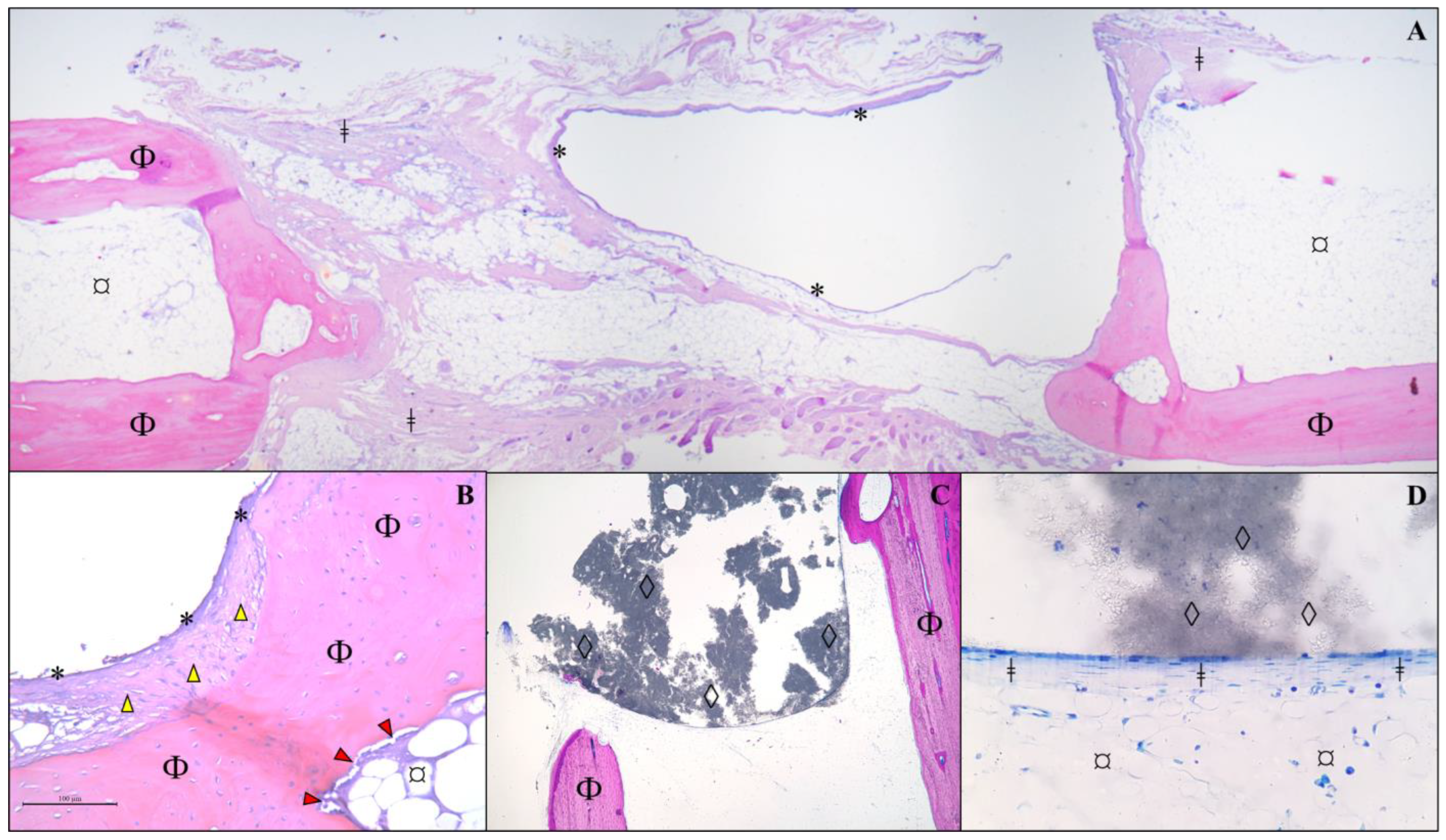 Vetsci 12 00200 g006