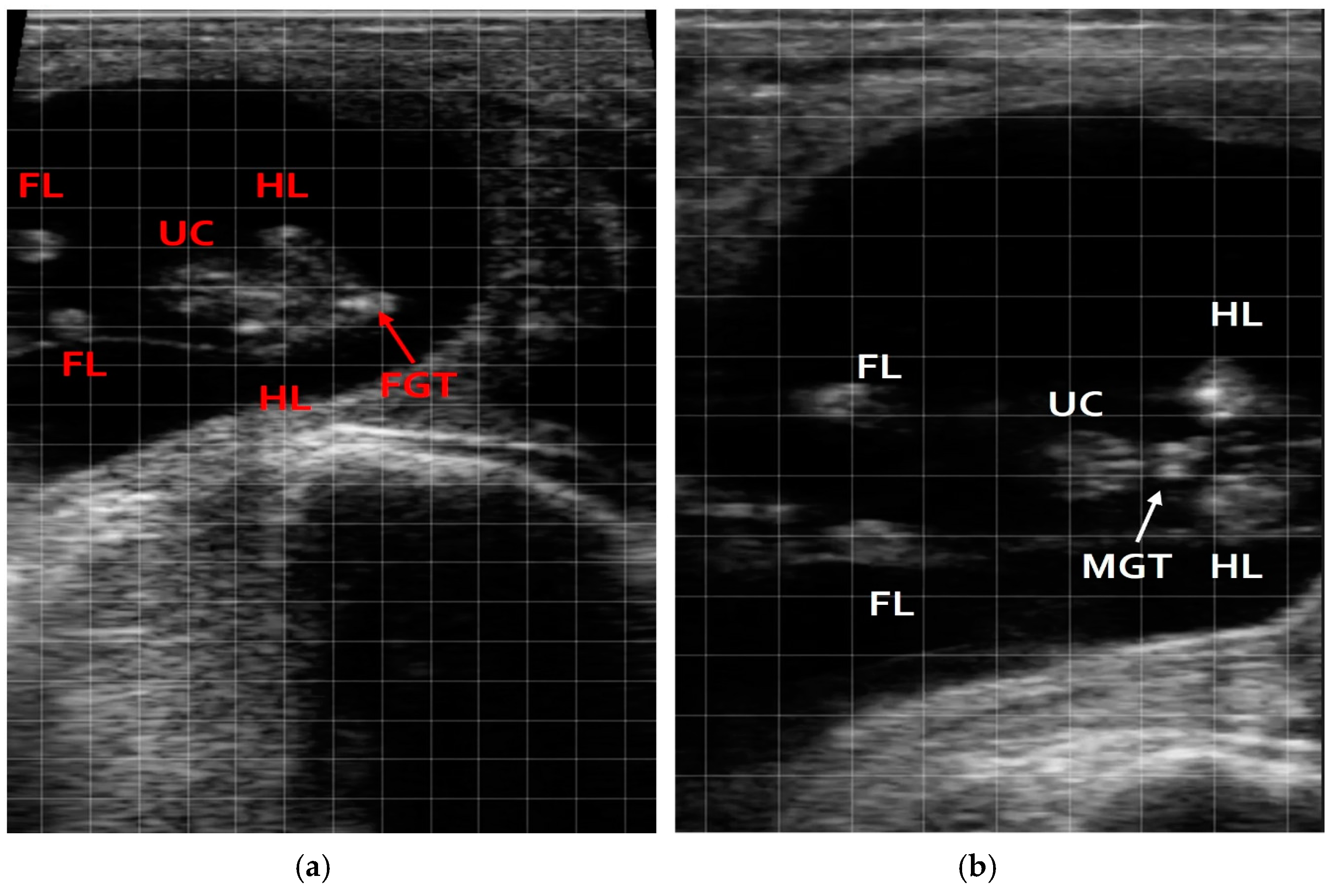 Vetsci 12 00201 g002